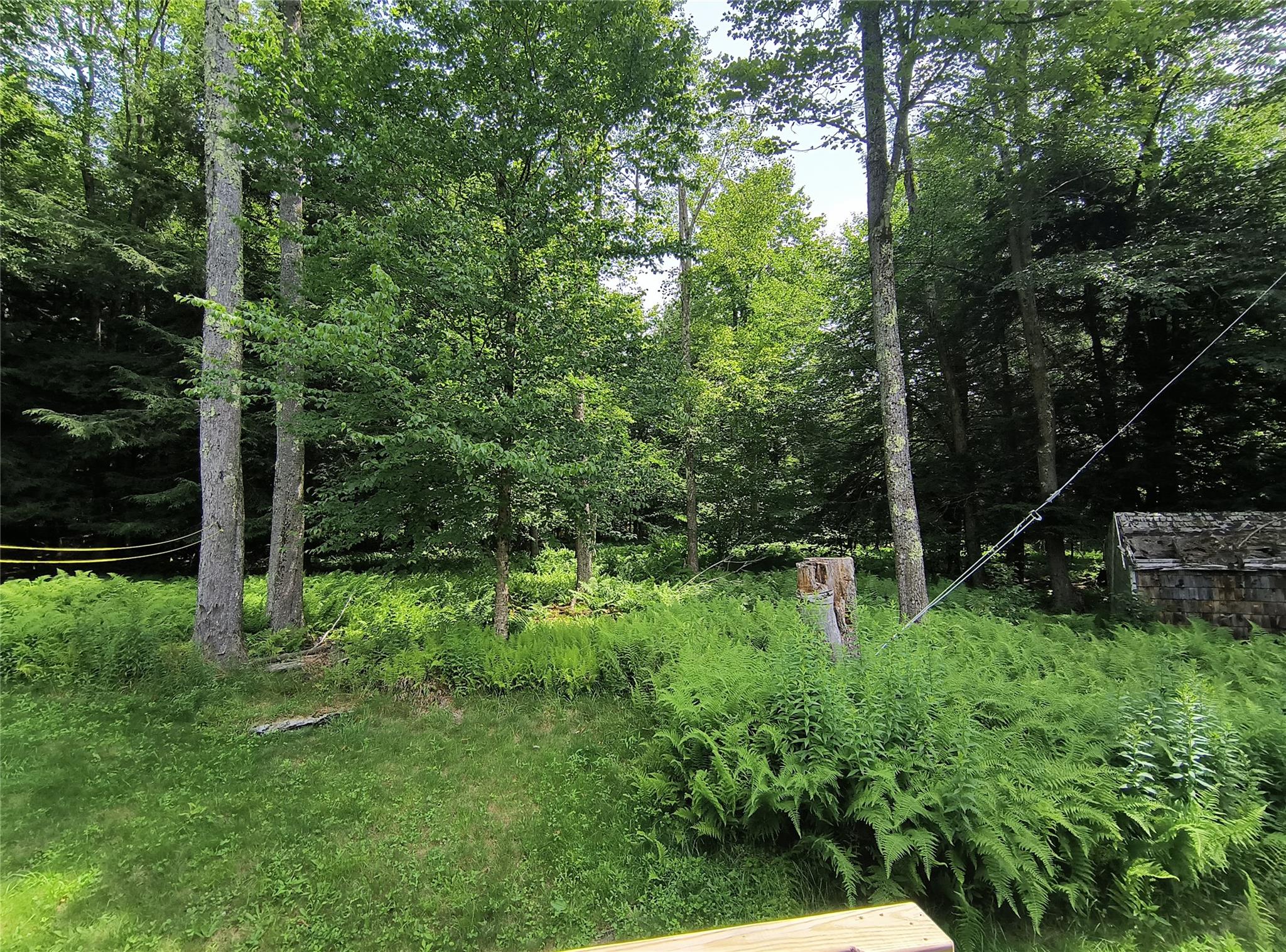 #11 photo, 113 Lake Muskoday Road, Roscoe , NY 12776