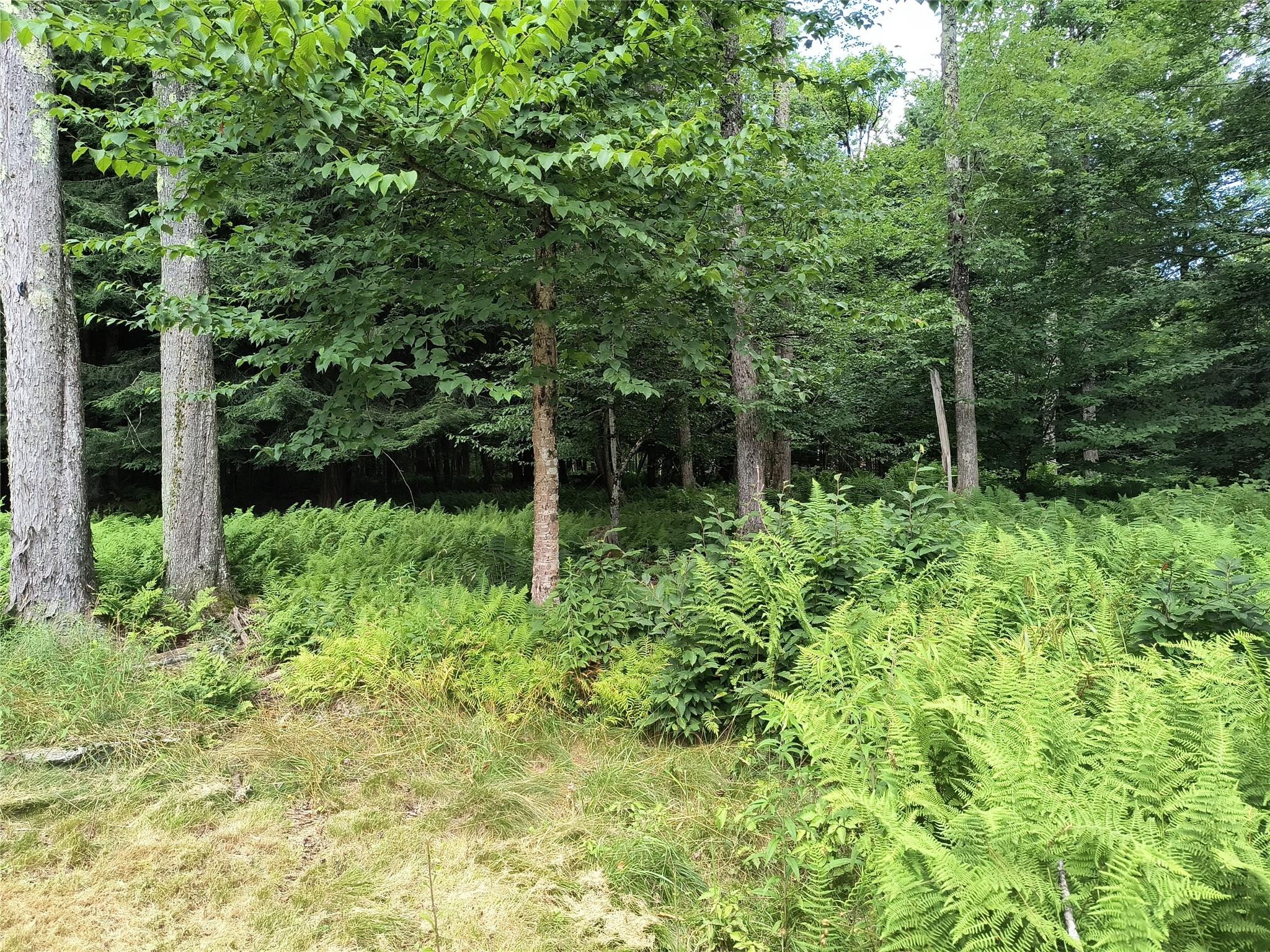 #12 photo, 113 Lake Muskoday Road, Roscoe , NY 12776