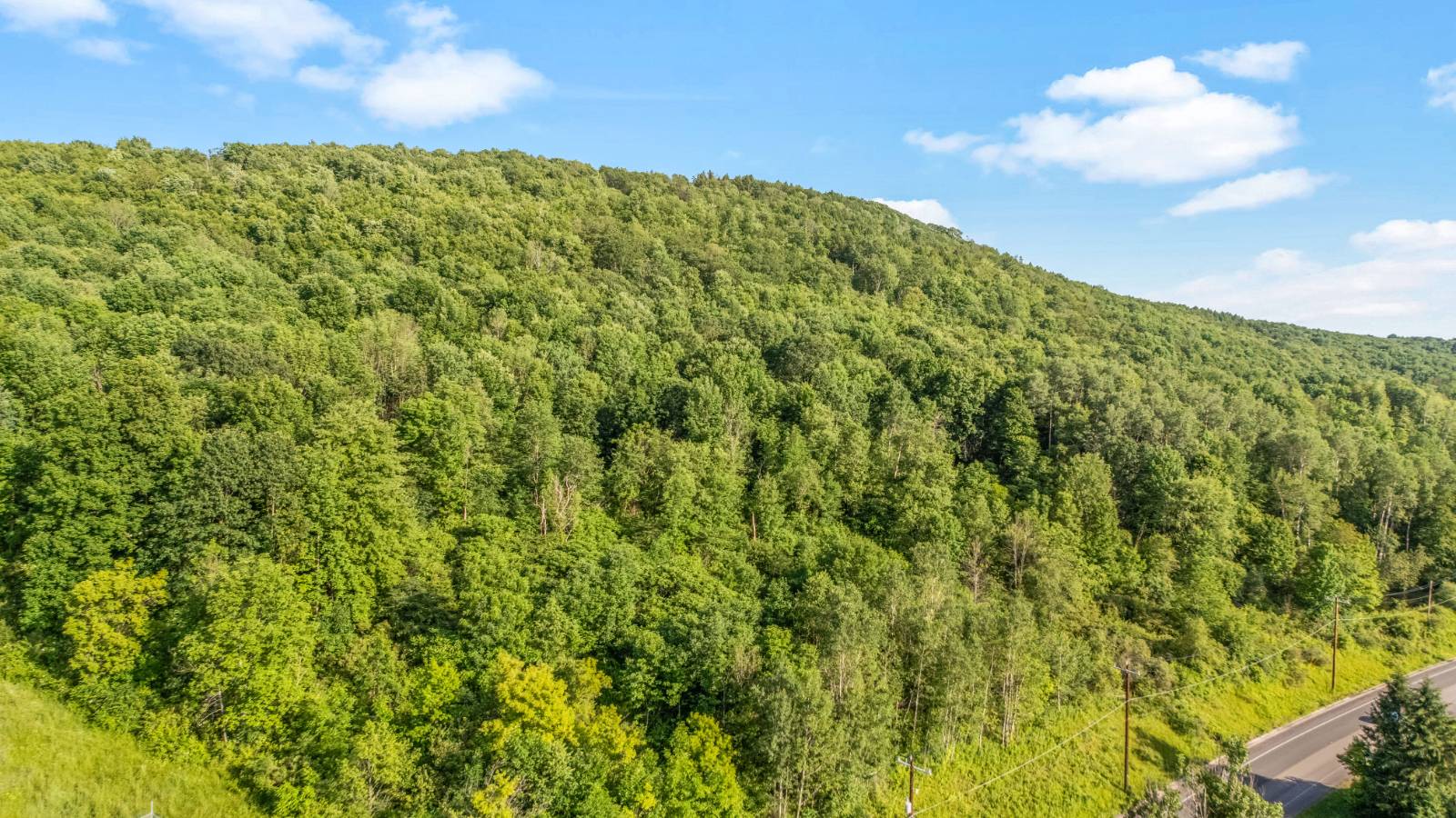 #2 photo, L31.1 County Rd 32, Norwich , NY 13815