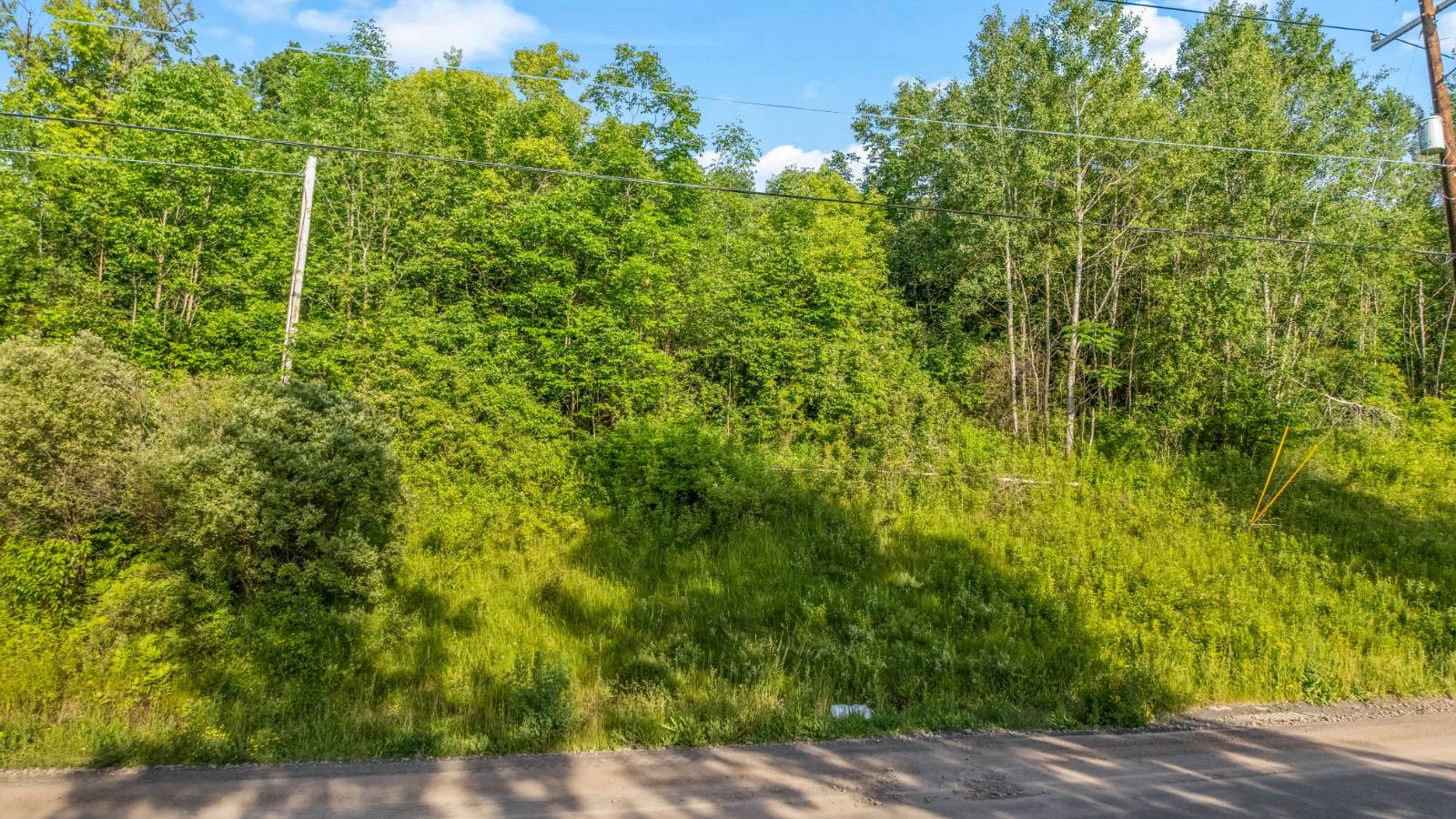 #8 photo, L31.1 County Rd 32, Norwich , NY 13815