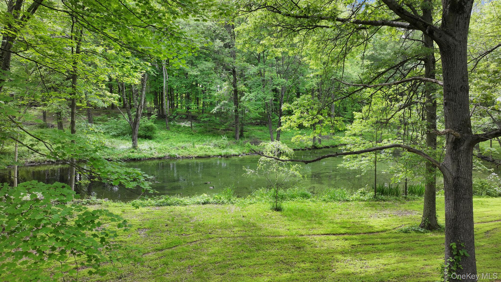 #6 photo, 163 Berea Road, Walden , NY 12586