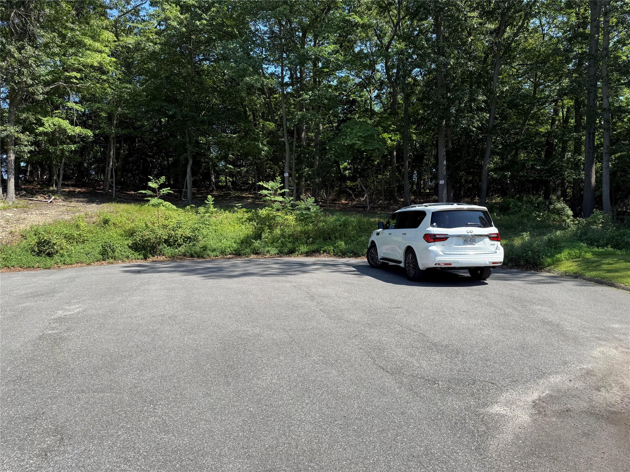 #1 photo, Samantha Lane, Port Jefferson Station , NY 11777