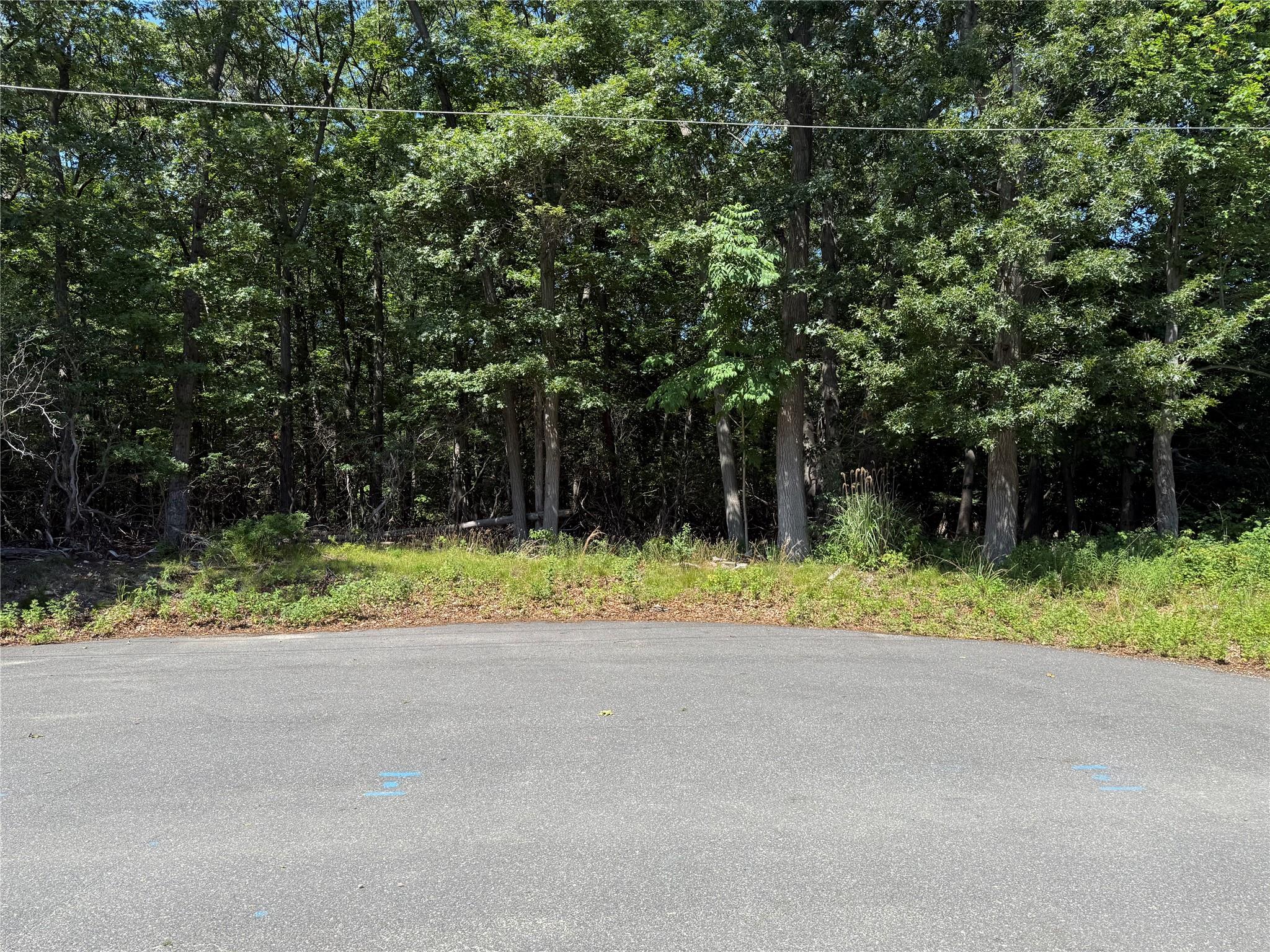 #1 photo, Park Avenue, 東長島 Port Jefferson Station , NY 11777