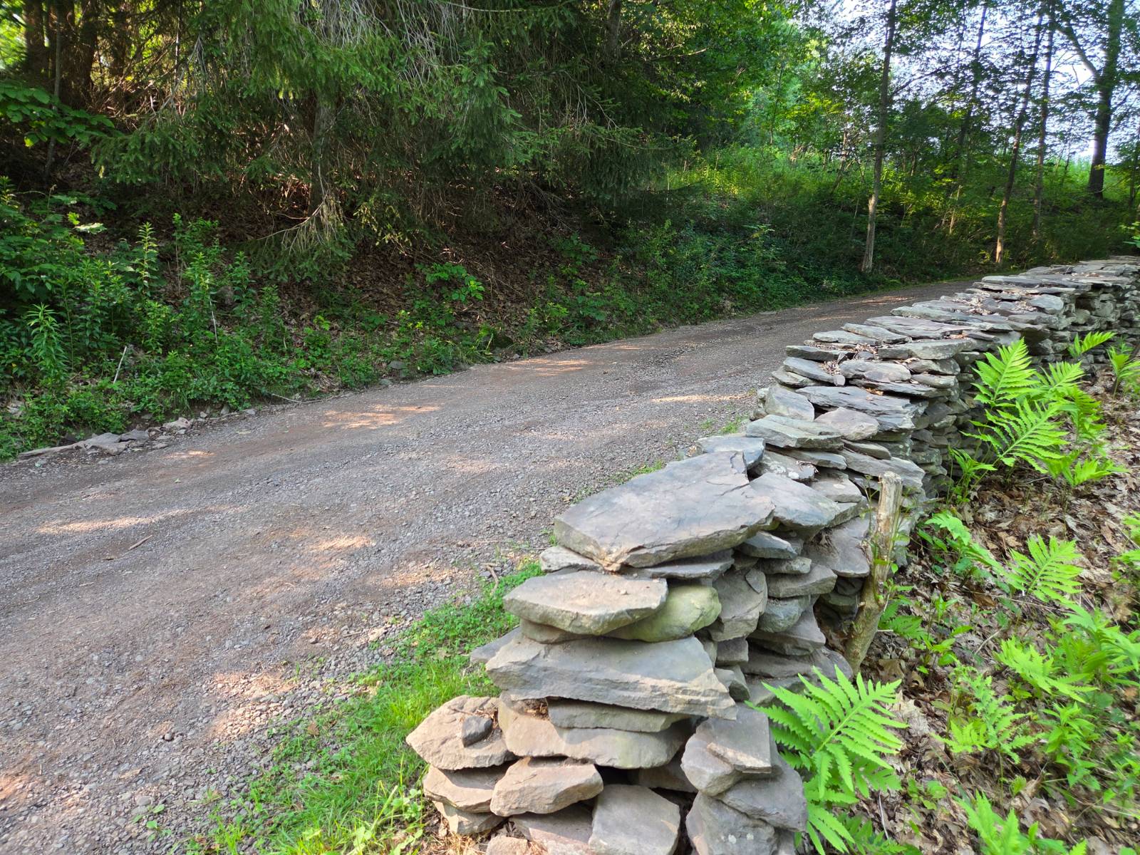 #28 photo, 643 Carroll Hinkley Road, Roxbury , NY 12474