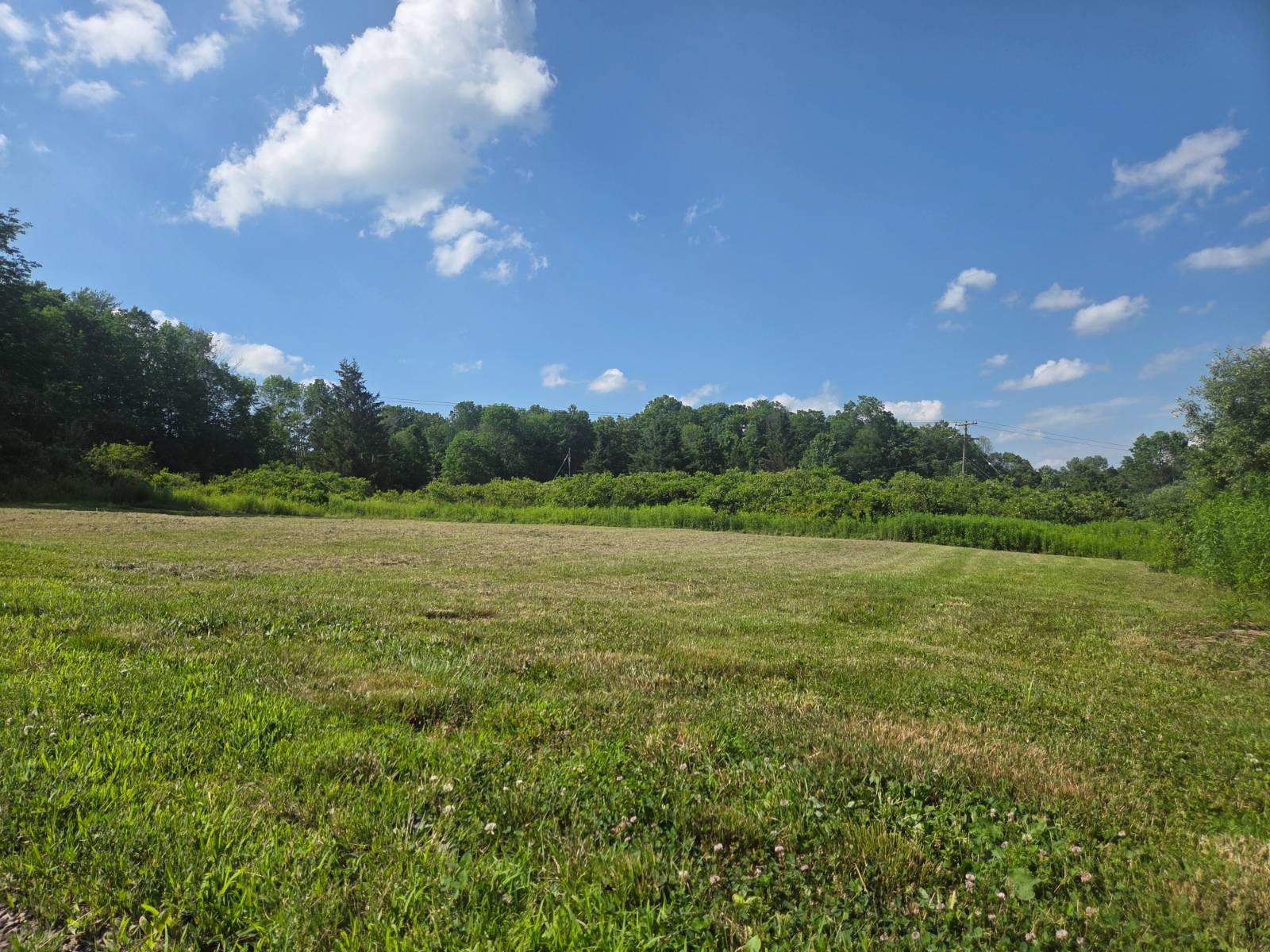 #30 photo, 643 Carroll Hinkley Road, Roxbury , NY 12474