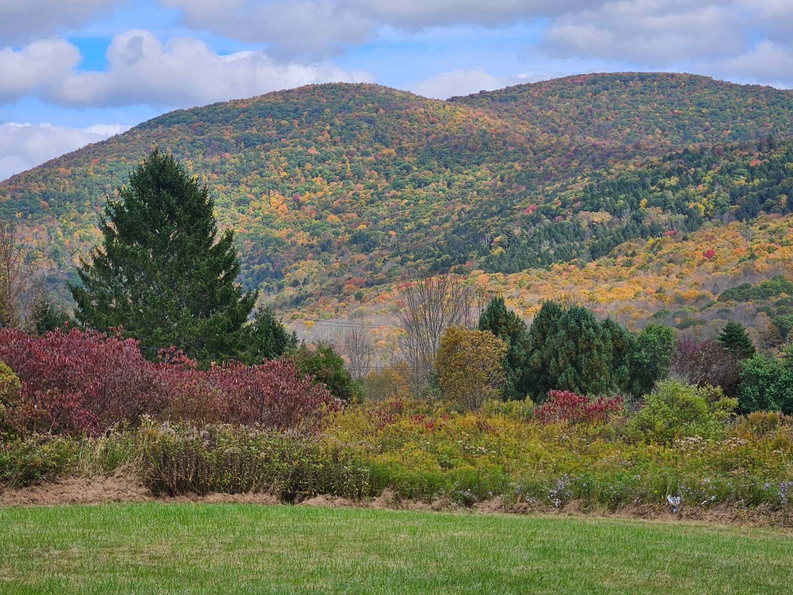 #31 photo, 643 Carroll Hinkley Road, Roxbury , NY 12474