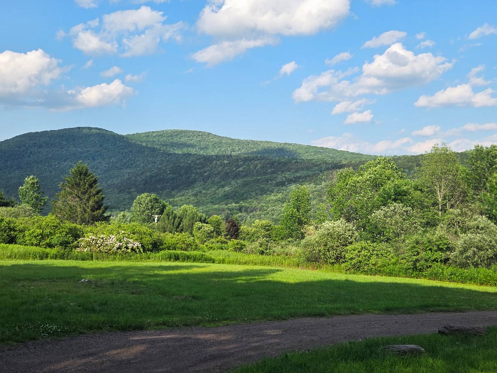 #4 photo, 643 Carroll Hinkley Road, Roxbury , NY 12474