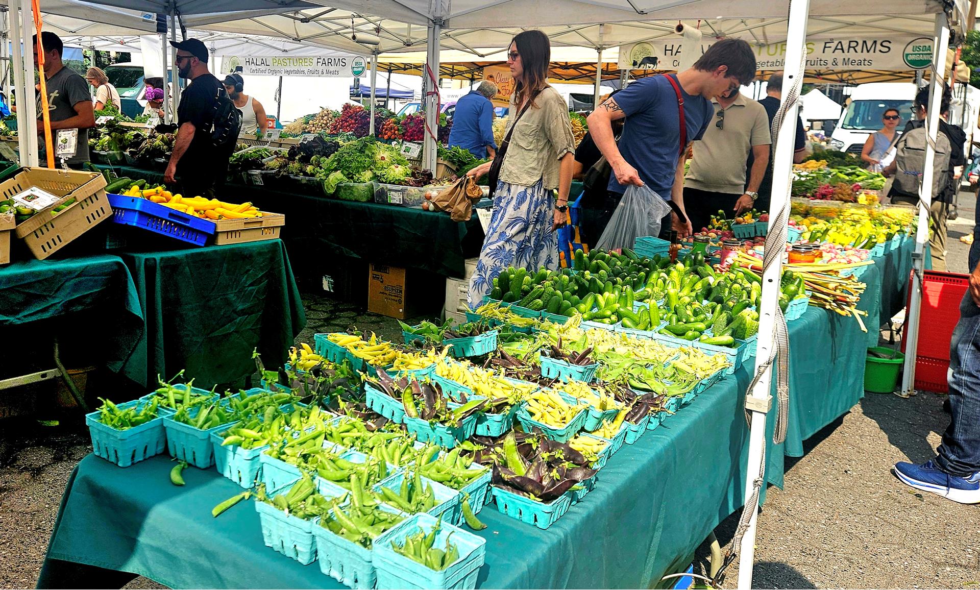 #12 photo, 210 E 17TH Street, マンハッタン Gramercy Park , NY 10003