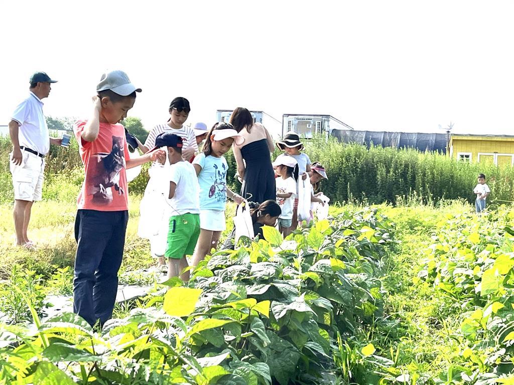 #20 photo, 1117 Cross River Drive, サフォーク郡 Riverhead , NY 11901