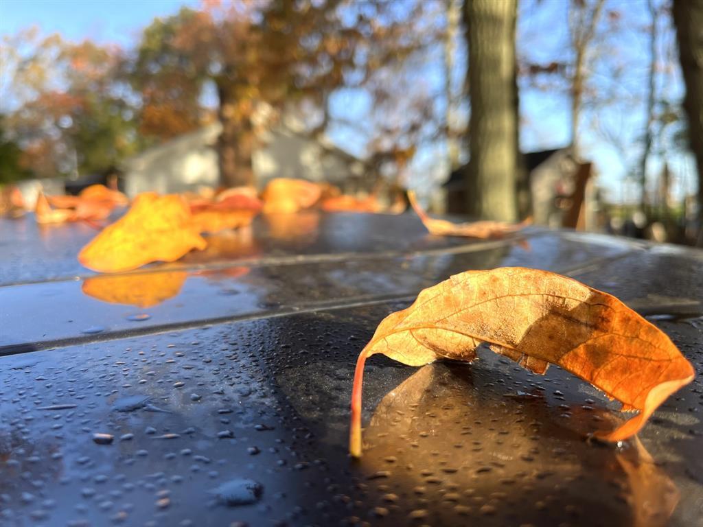 #9 photo, 1117 Cross River Drive, サフォーク郡 Riverhead , NY 11901