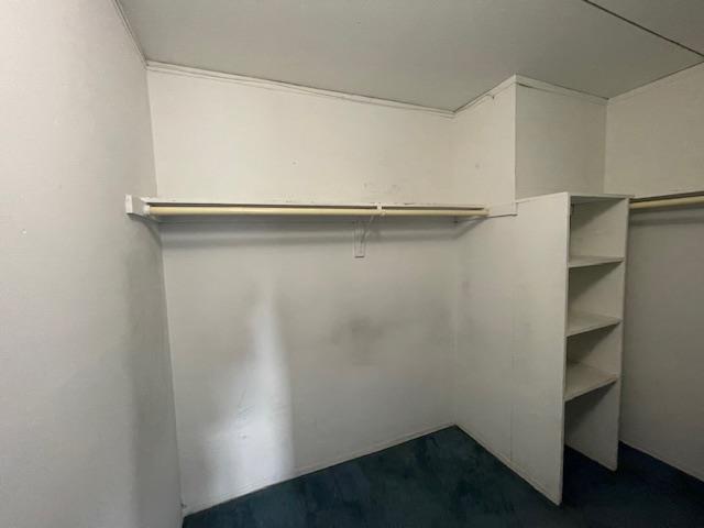 #6 photo, 100 Clinton Avenue, Mineola , NY 11501