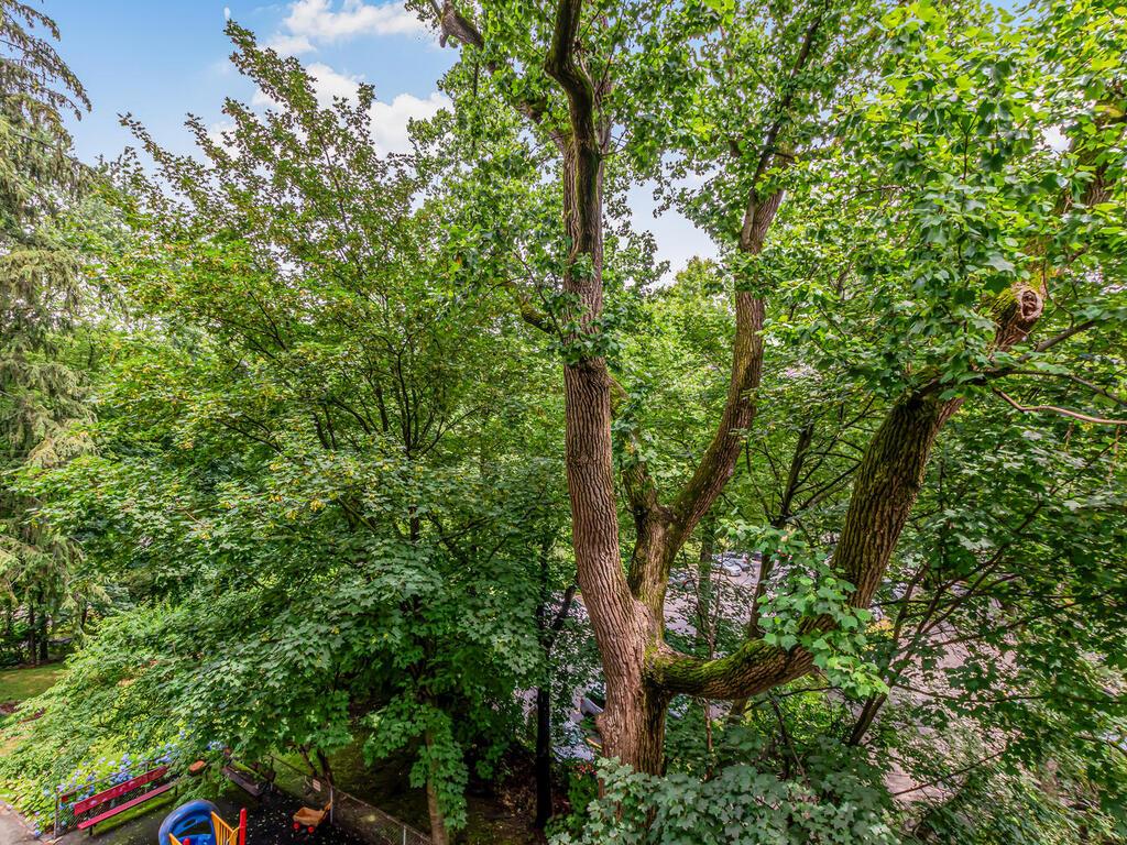 #14 photo, 679 W 239TH Street, הברונקס Central Riverdale , NY 10463