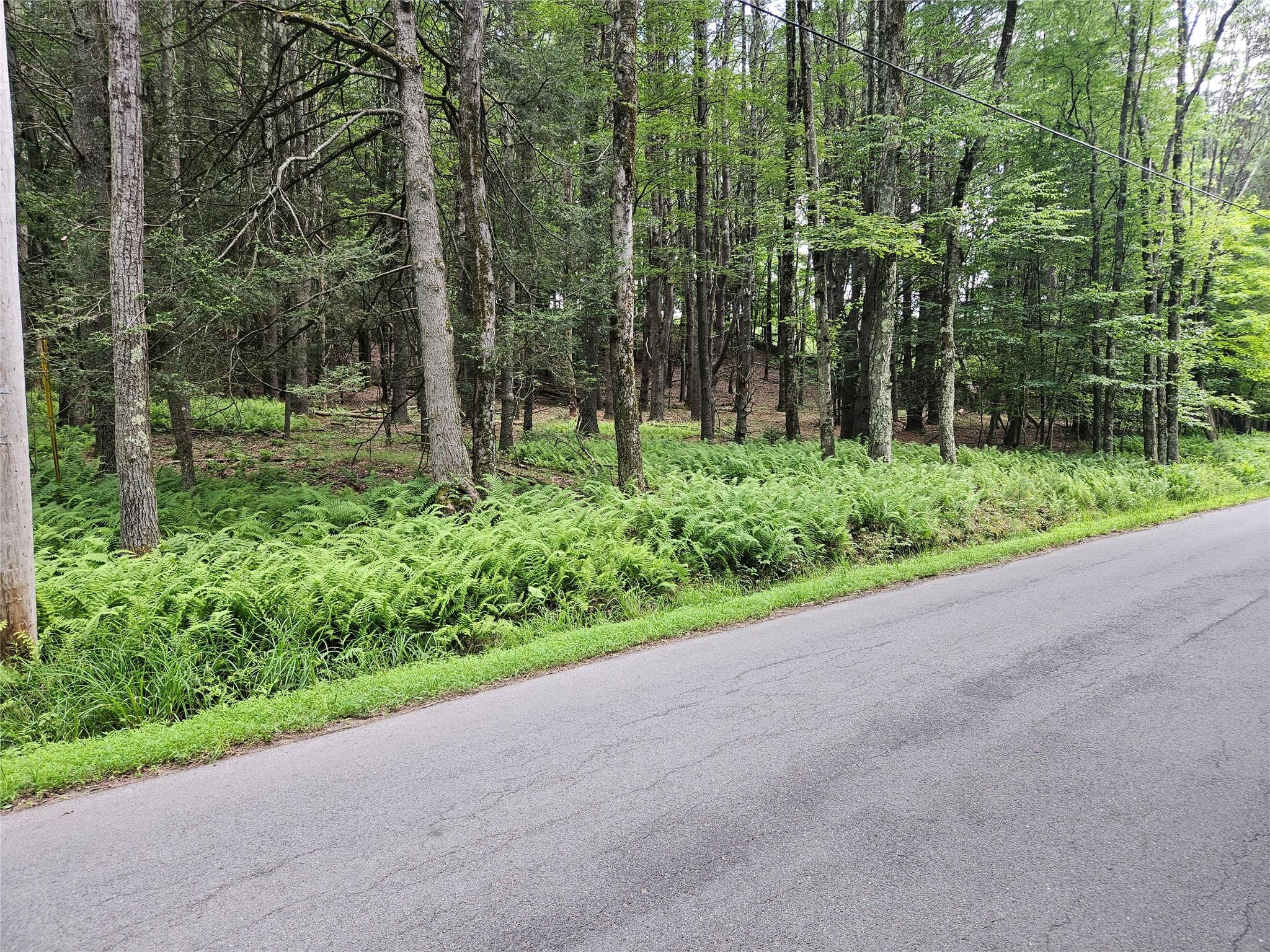 #1 photo, Hurd and Parks Road, 紐約州 Kauneonga Lake , NY 