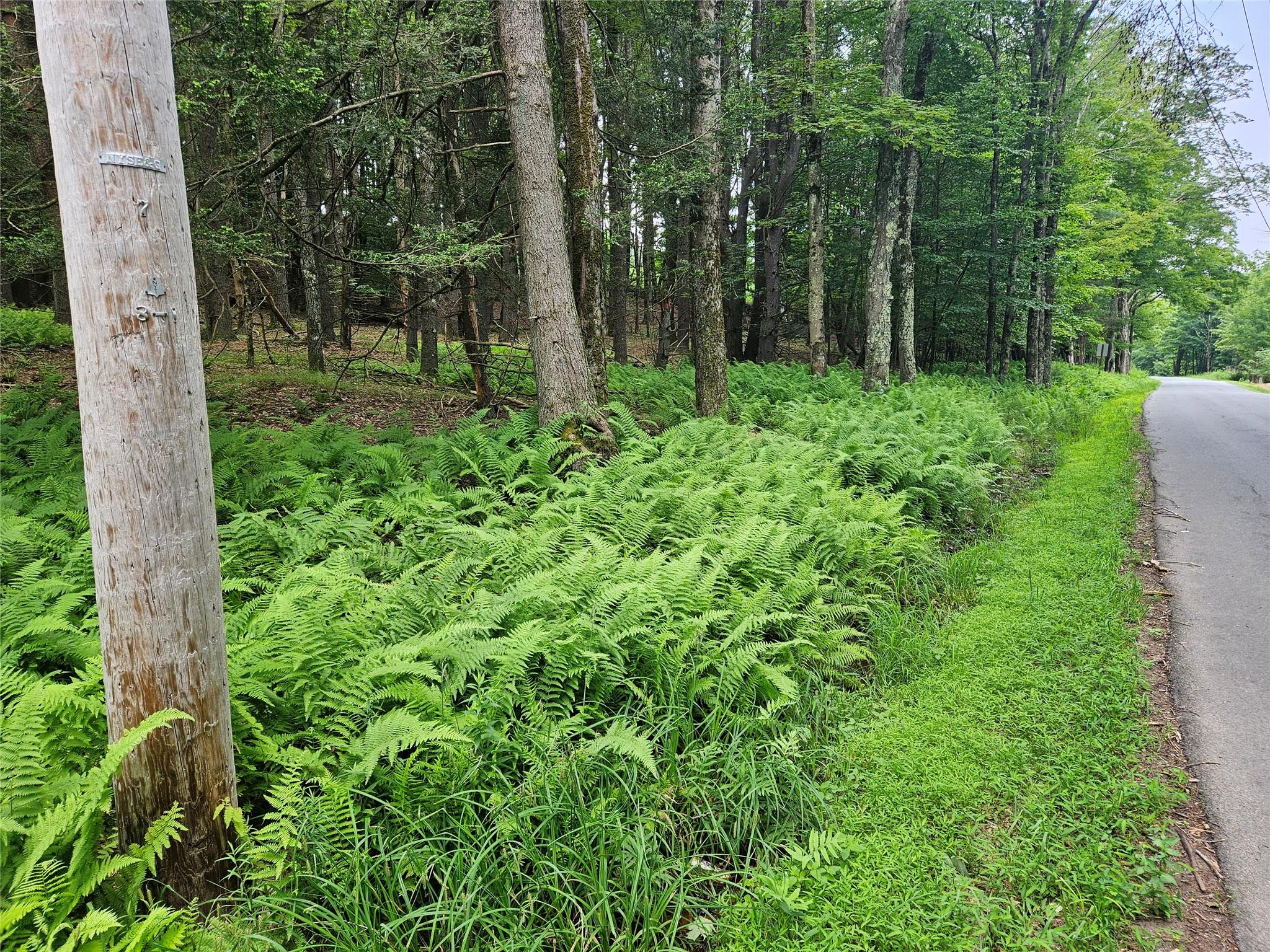 #10 photo, Hurd and Parks Road, Kauneonga Lake , NY 