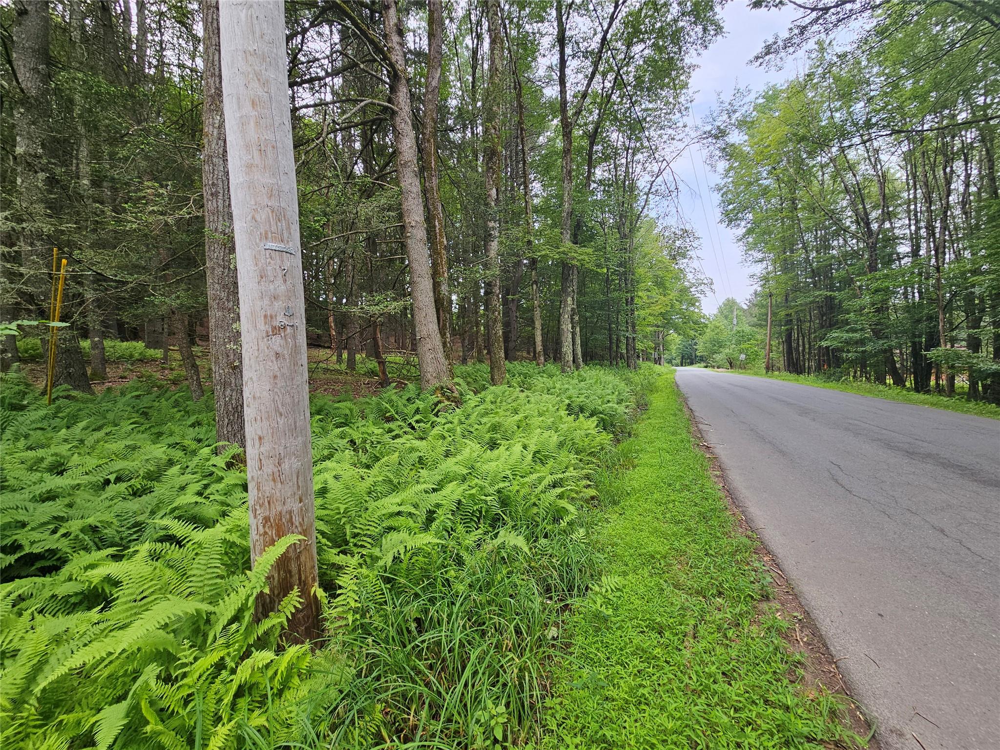 #11 photo, Hurd and Parks Road, Kauneonga Lake , NY 