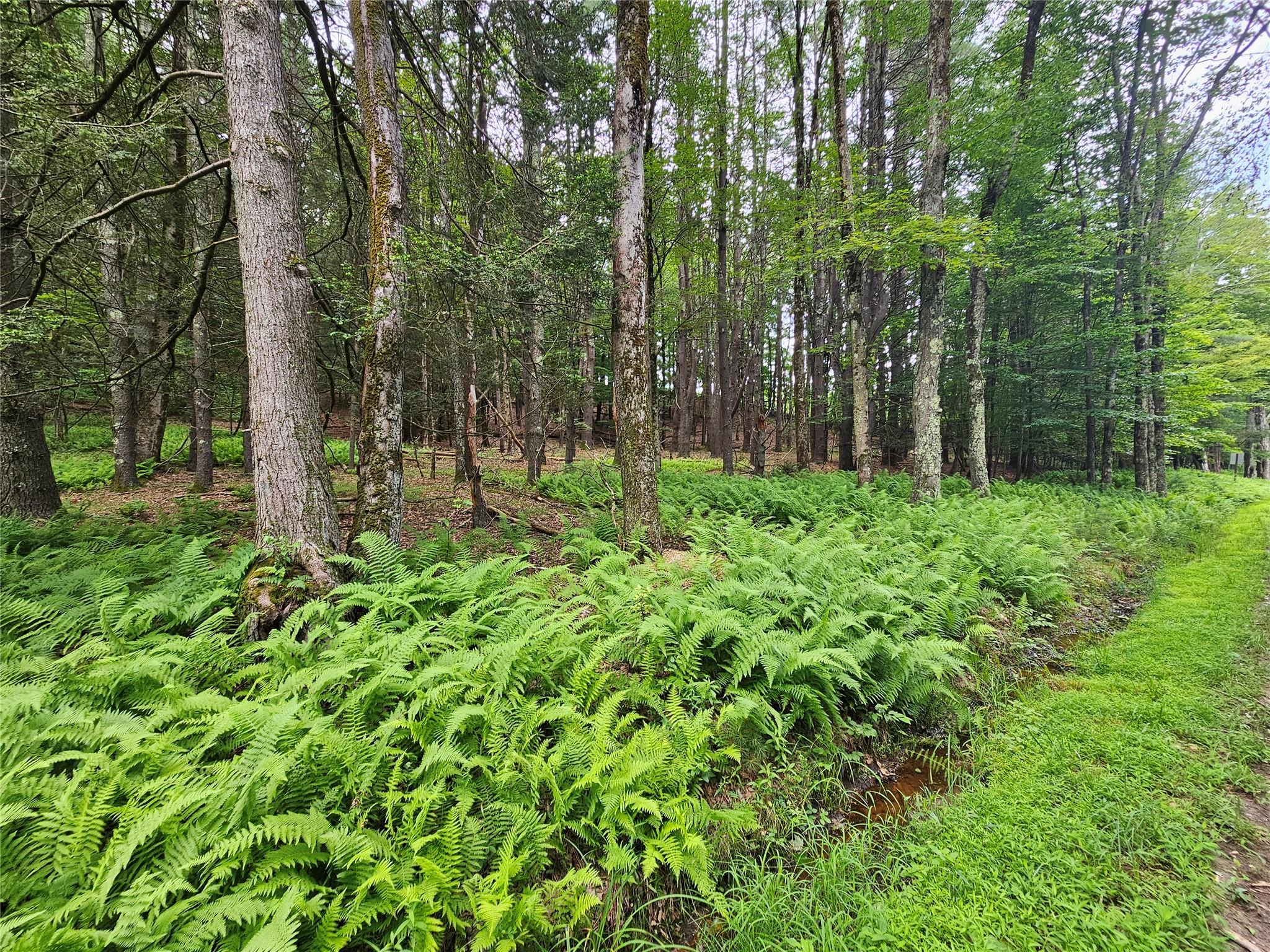 #12 photo, Hurd and Parks Road, Kauneonga Lake , NY 