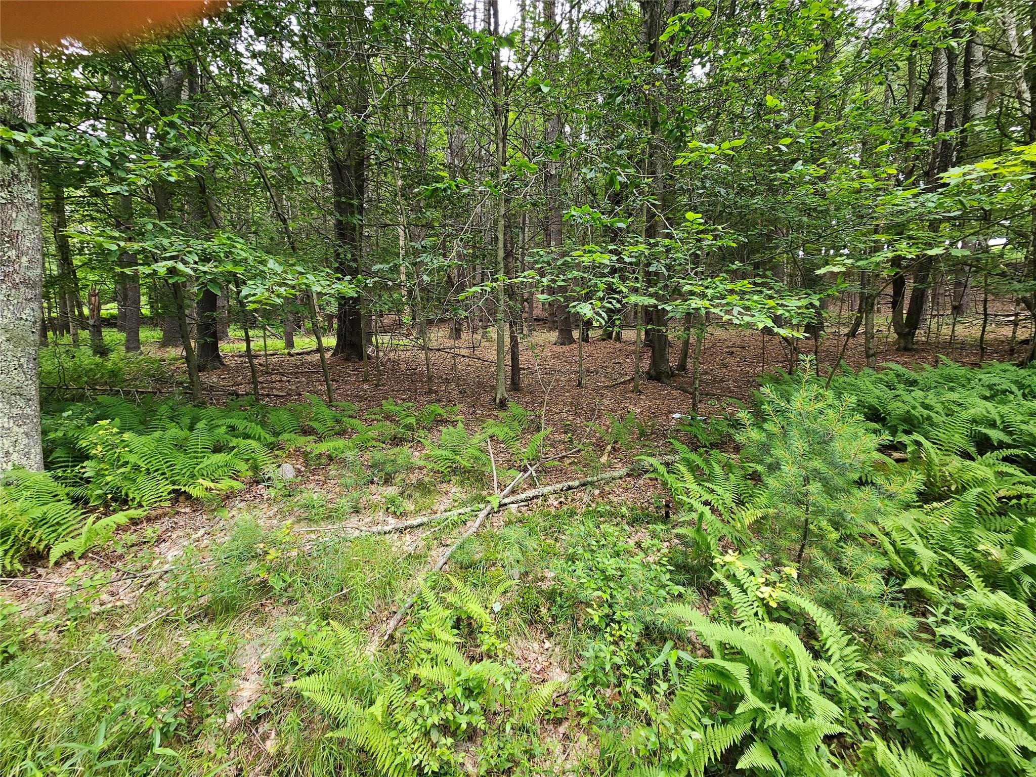 #14 photo, Hurd and Parks Road, Kauneonga Lake , NY 