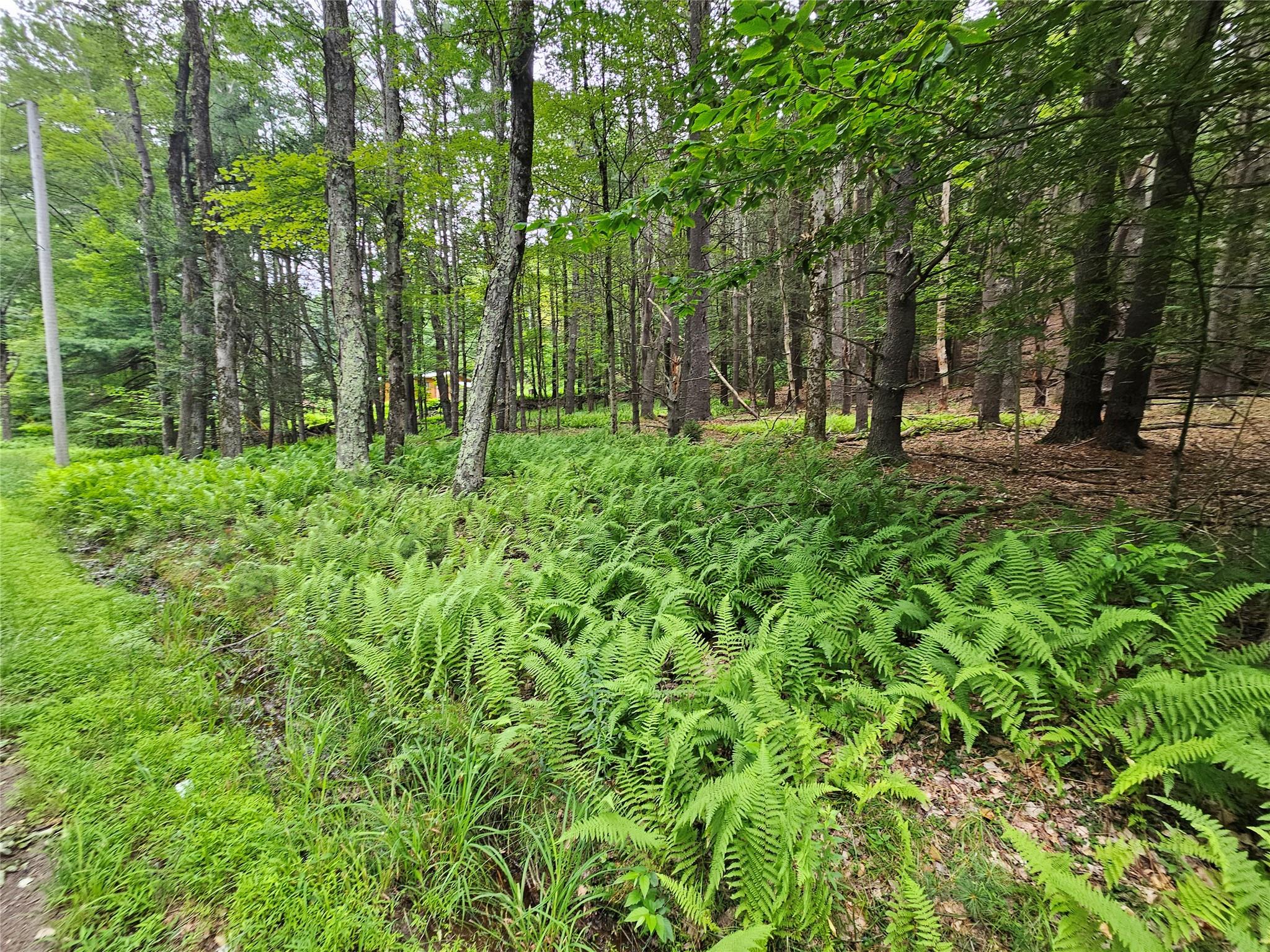 #15 photo, Hurd and Parks Road, Kauneonga Lake , NY 