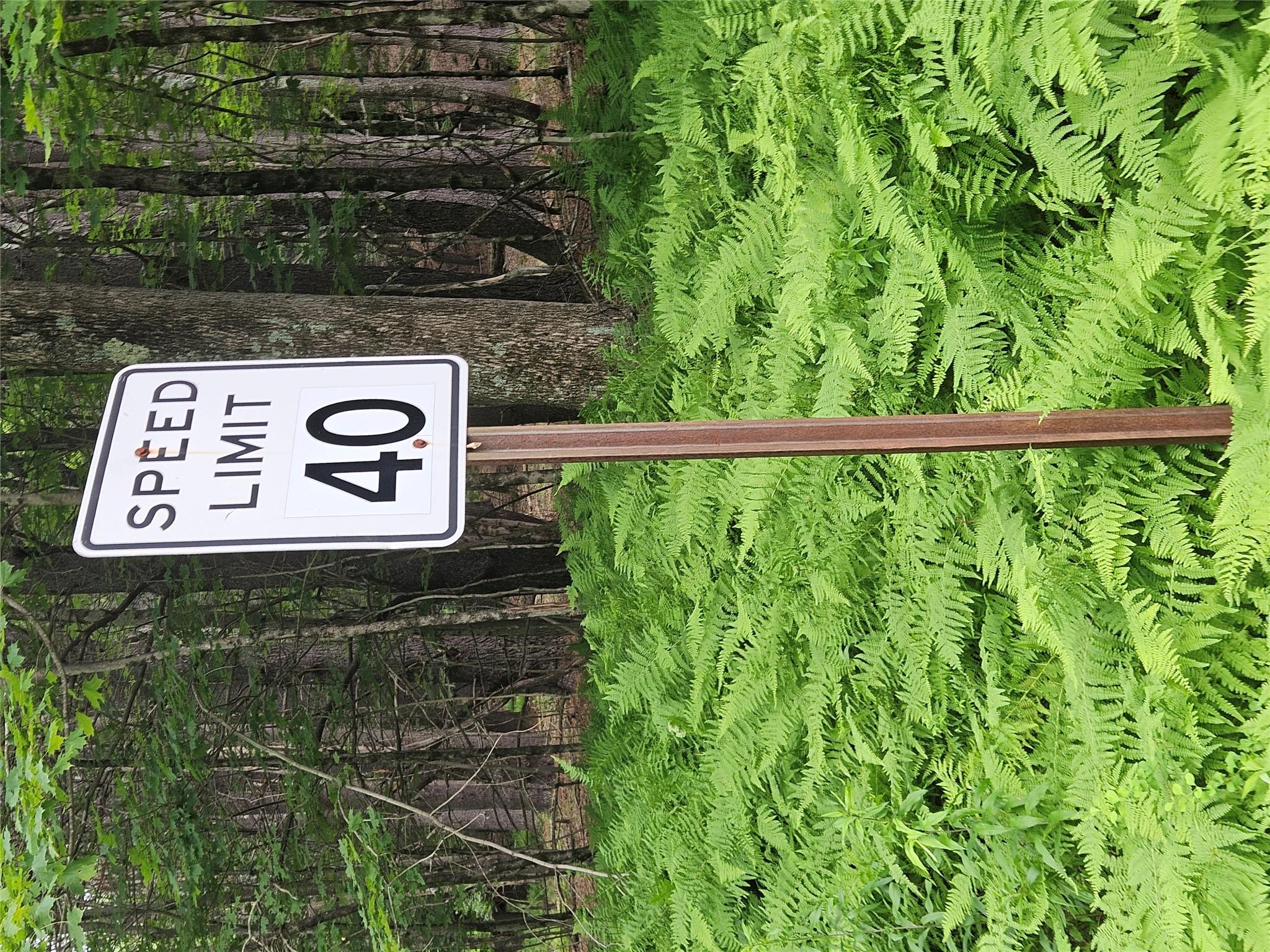 #3 photo, Hurd and Parks Road, Kauneonga Lake , NY 