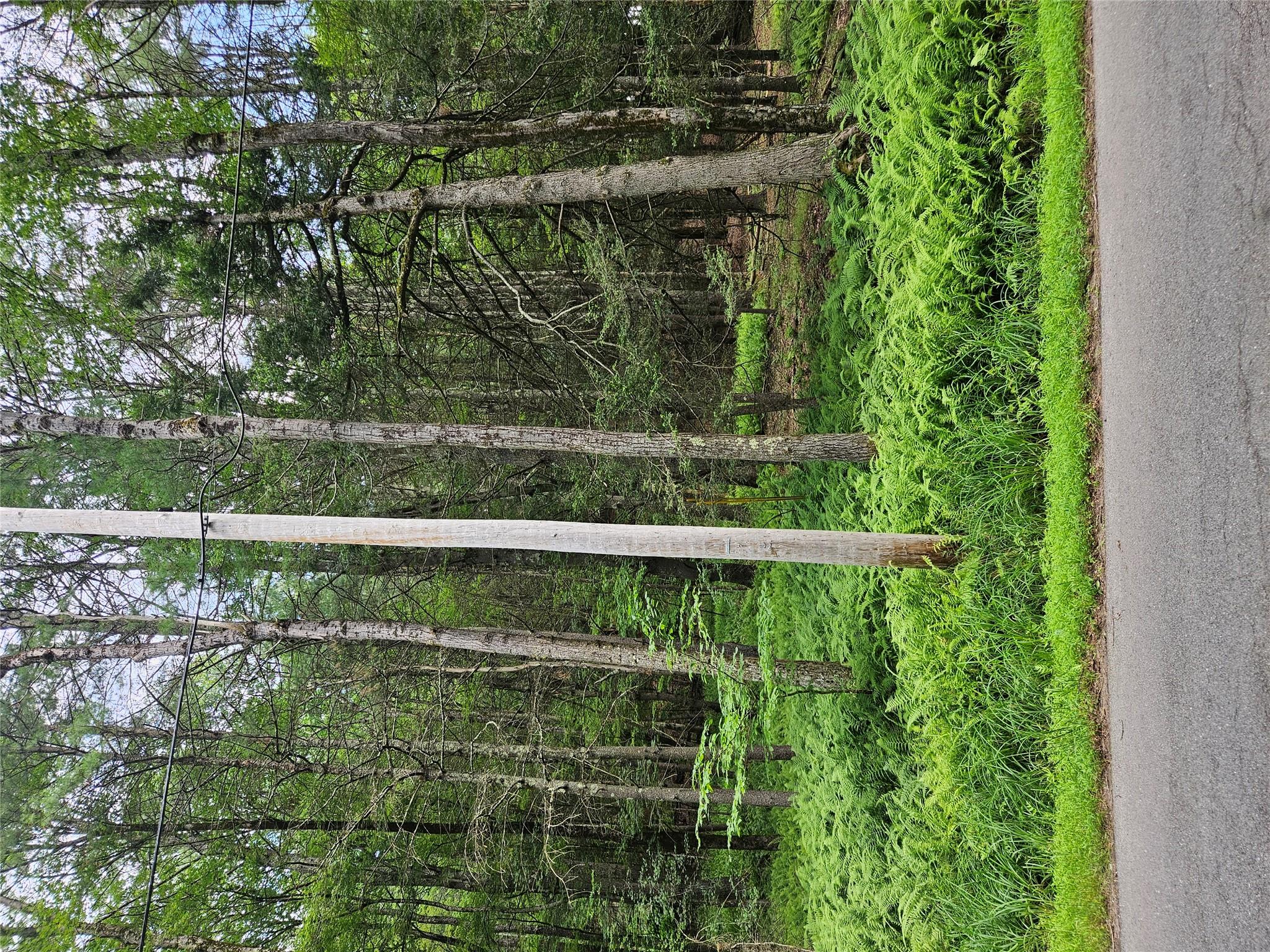 #5 photo, Hurd and Parks Road, Kauneonga Lake , NY 