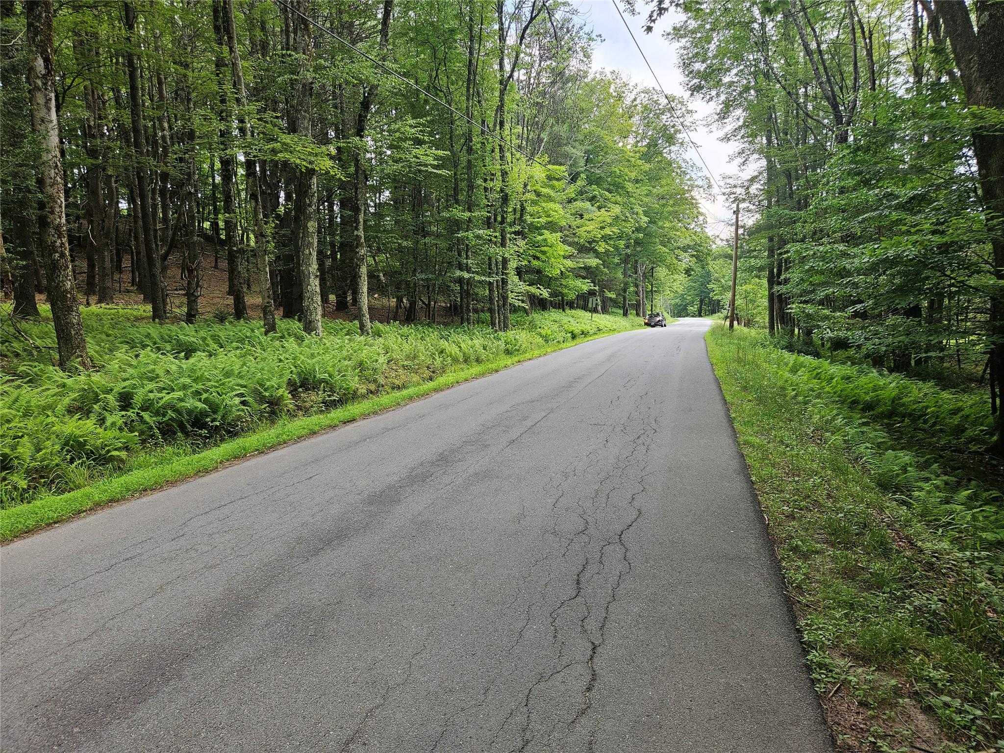 #6 photo, Hurd and Parks Road, Kauneonga Lake , NY 