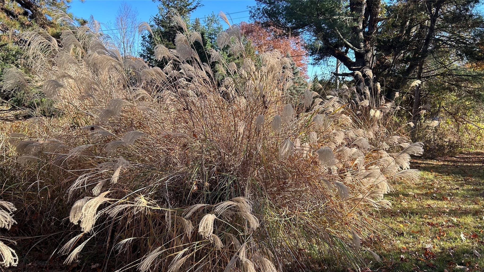 #4 photo, 66 Ryan Road, Pine Plains , NY 12567