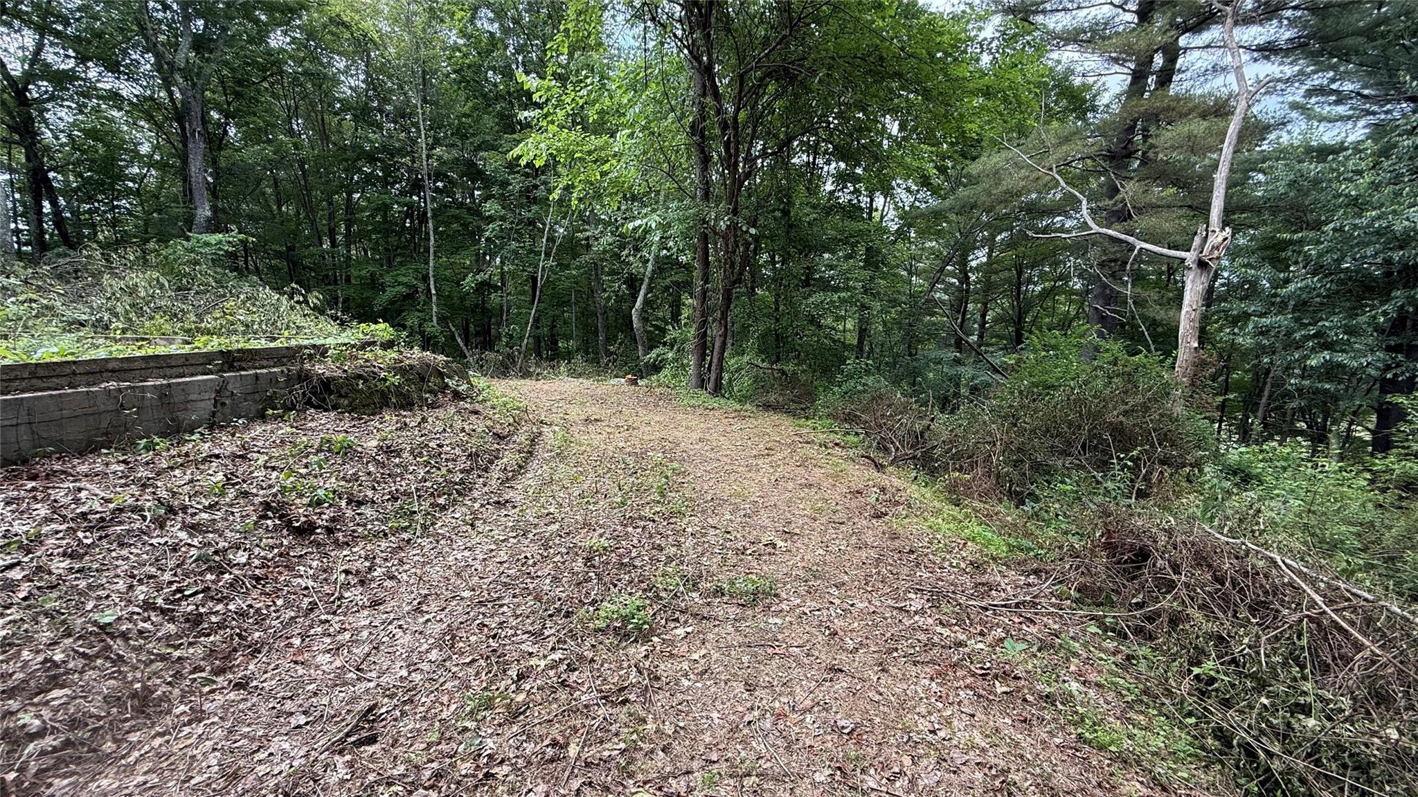 #5 photo, 66 Ryan Road, Pine Plains , NY 12567