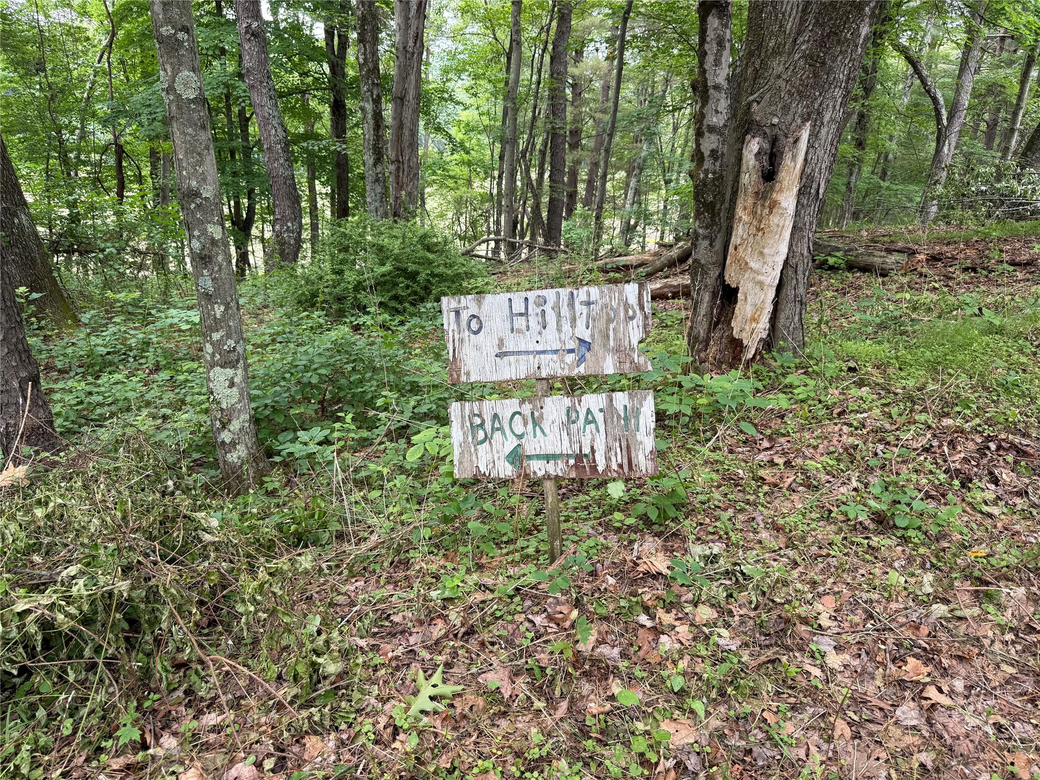 #6 photo, 66 Ryan Road, Pine Plains , NY 12567