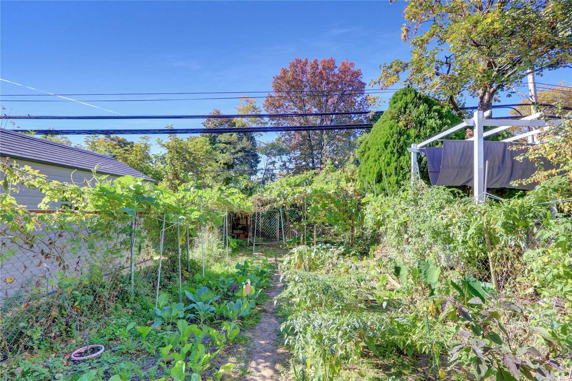 #16 photo, 84-96 Austin Street, クイーンズ区 Kew Gardens , NY 11415