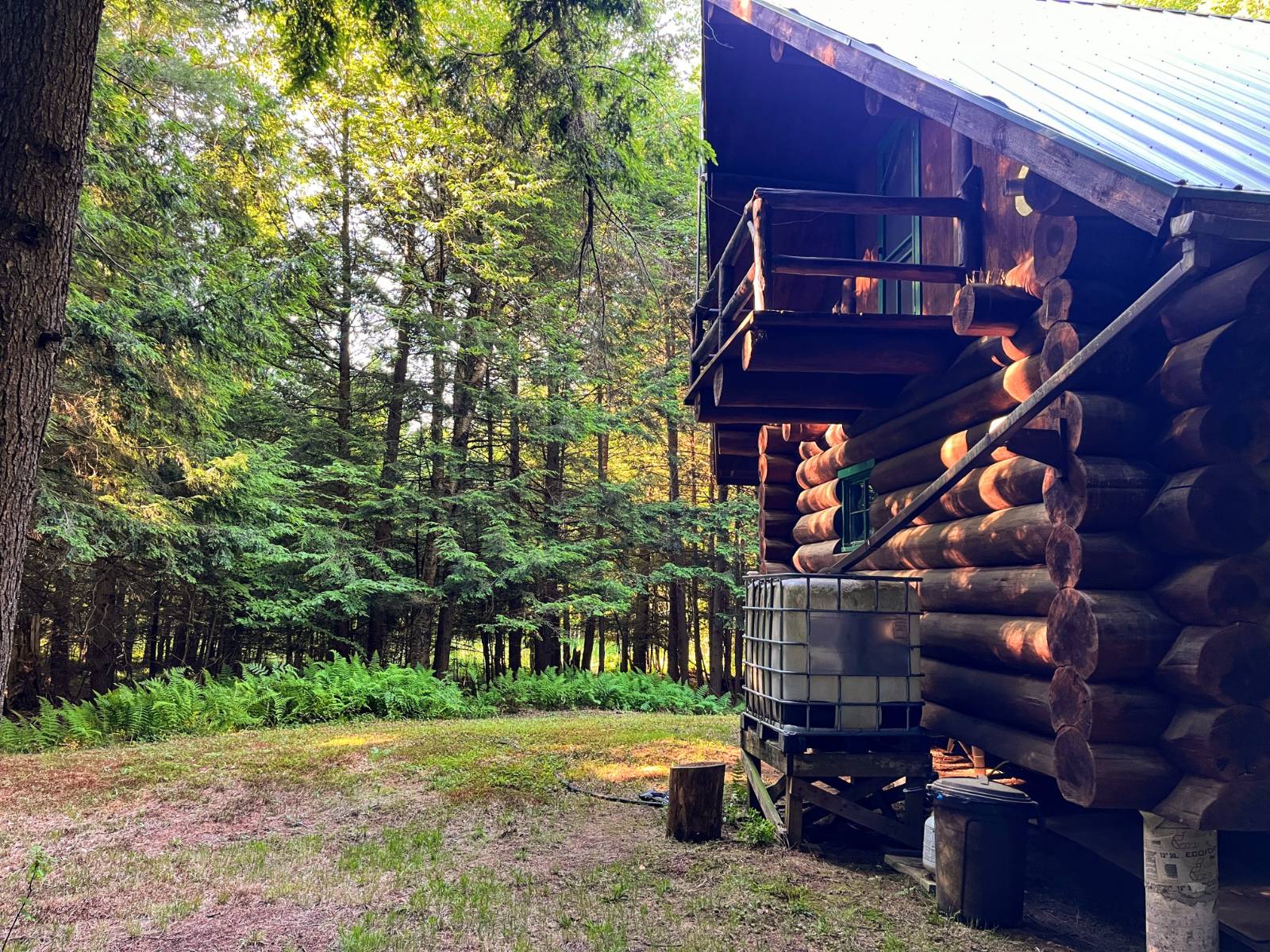 #10 photo, 00 White Pine Lane/pvt, Pitcairn , NY 13648