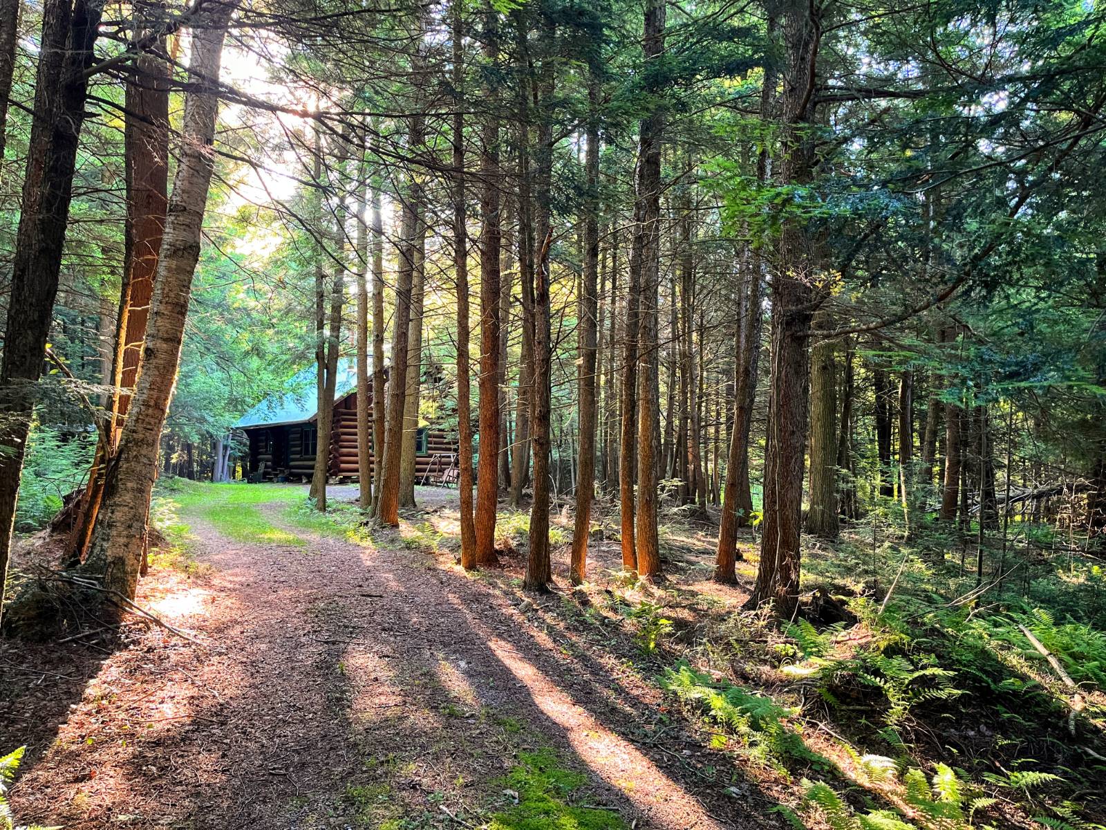 #3 photo, 00 White Pine Lane/pvt, Pitcairn , NY 13648