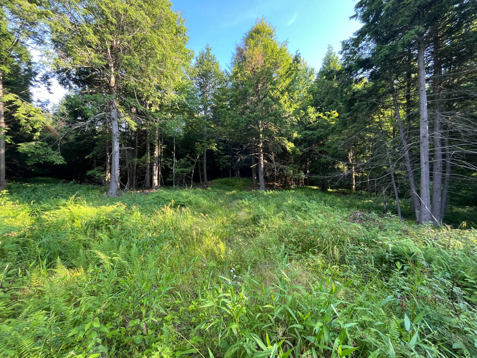 #30 photo, 00 White Pine Lane/pvt, Pitcairn , NY 13648