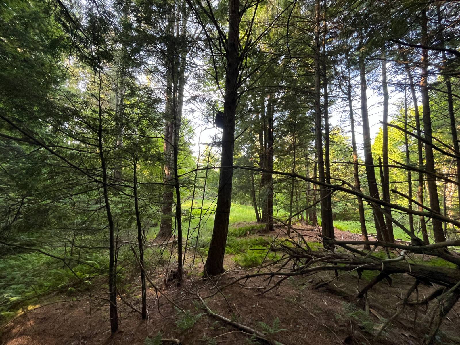 #31 photo, 00 White Pine Lane/pvt, Pitcairn , NY 13648