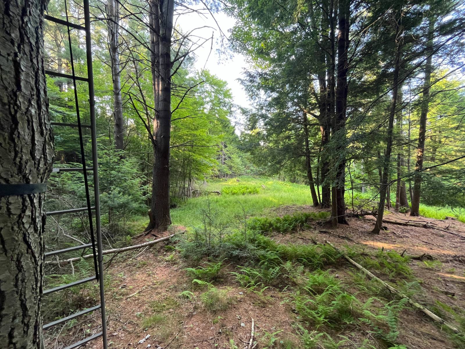 #32 photo, 00 White Pine Lane/pvt, Pitcairn , NY 13648