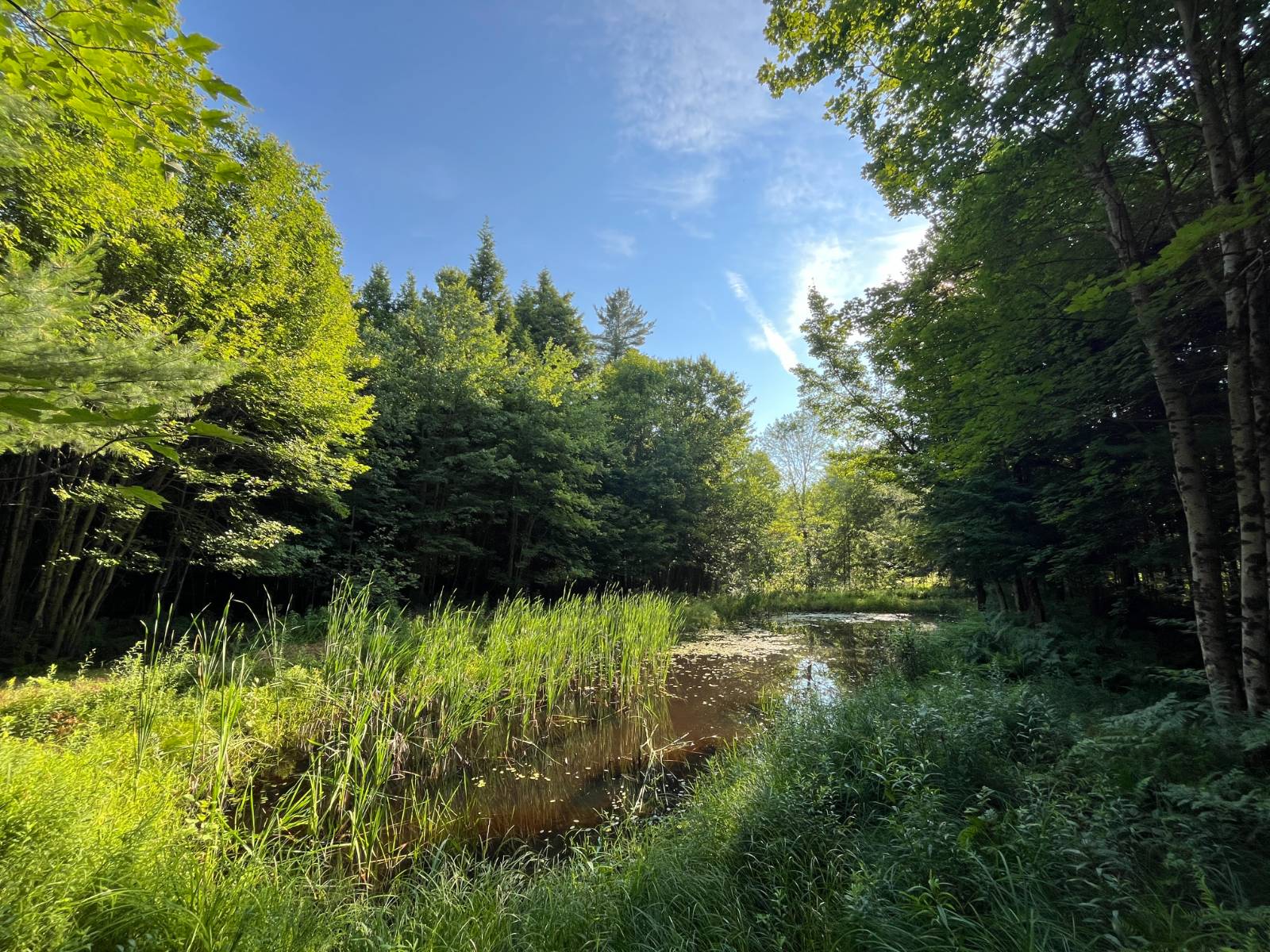 #33 photo, 00 White Pine Lane/pvt, Pitcairn , NY 13648