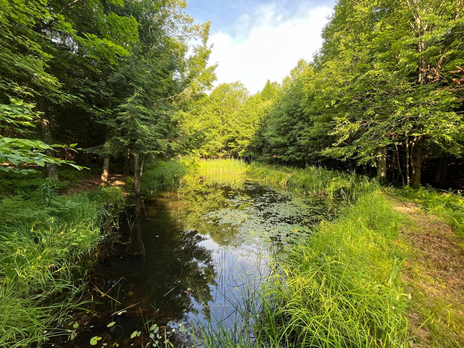 #34 photo, 00 White Pine Lane/pvt, Pitcairn , NY 13648