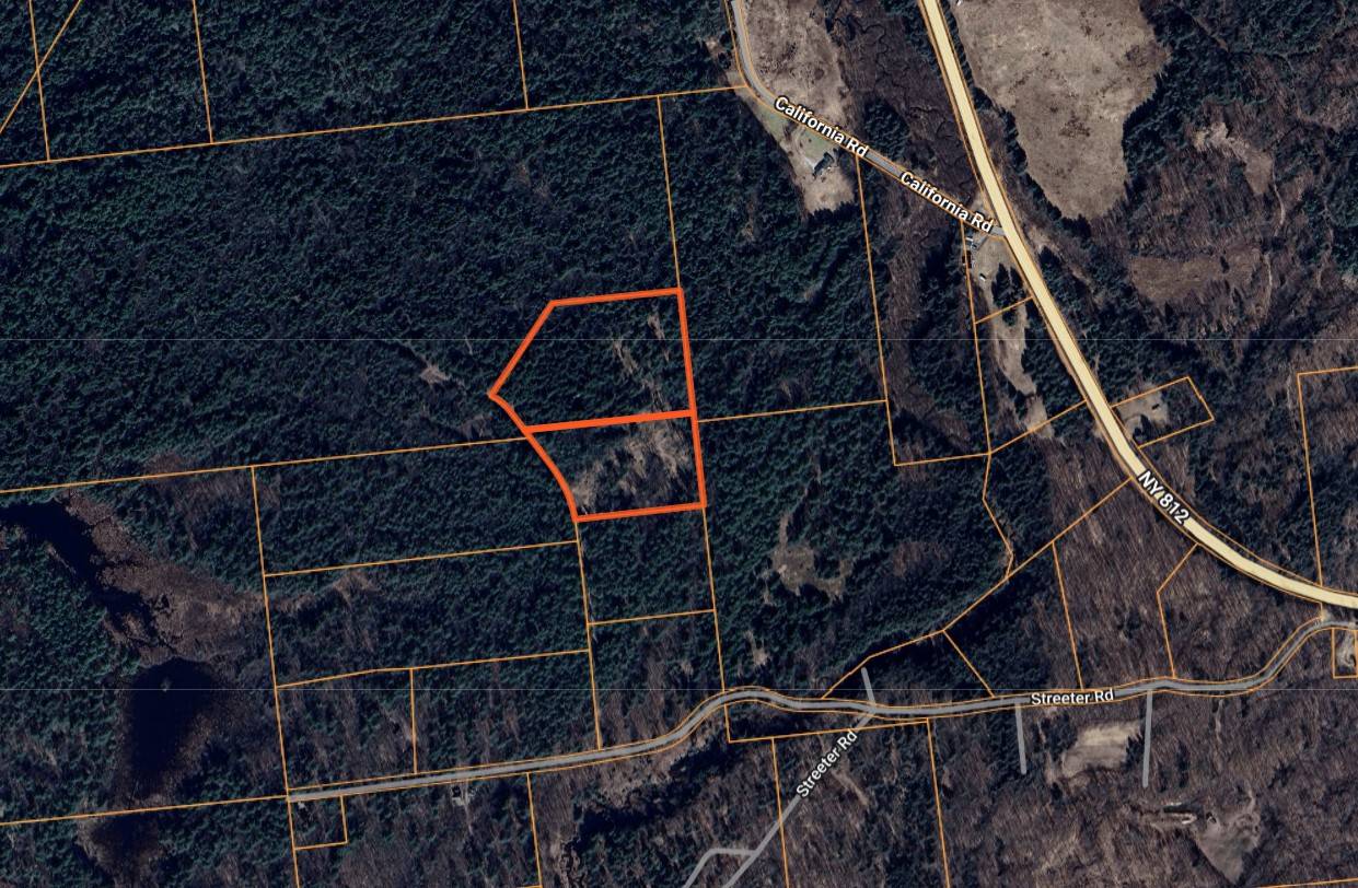 #36 photo, 00 White Pine Lane/pvt, Pitcairn , NY 13648