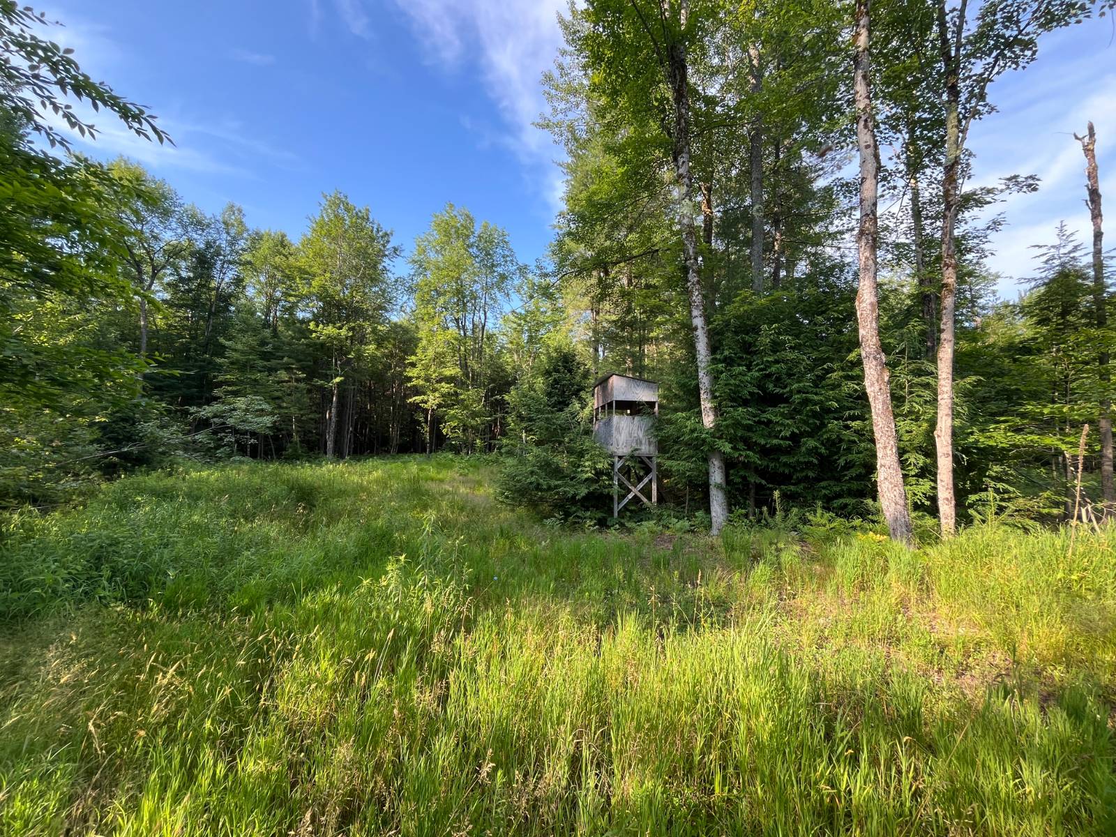 #38 photo, 00 White Pine Lane/pvt, Pitcairn , NY 13648