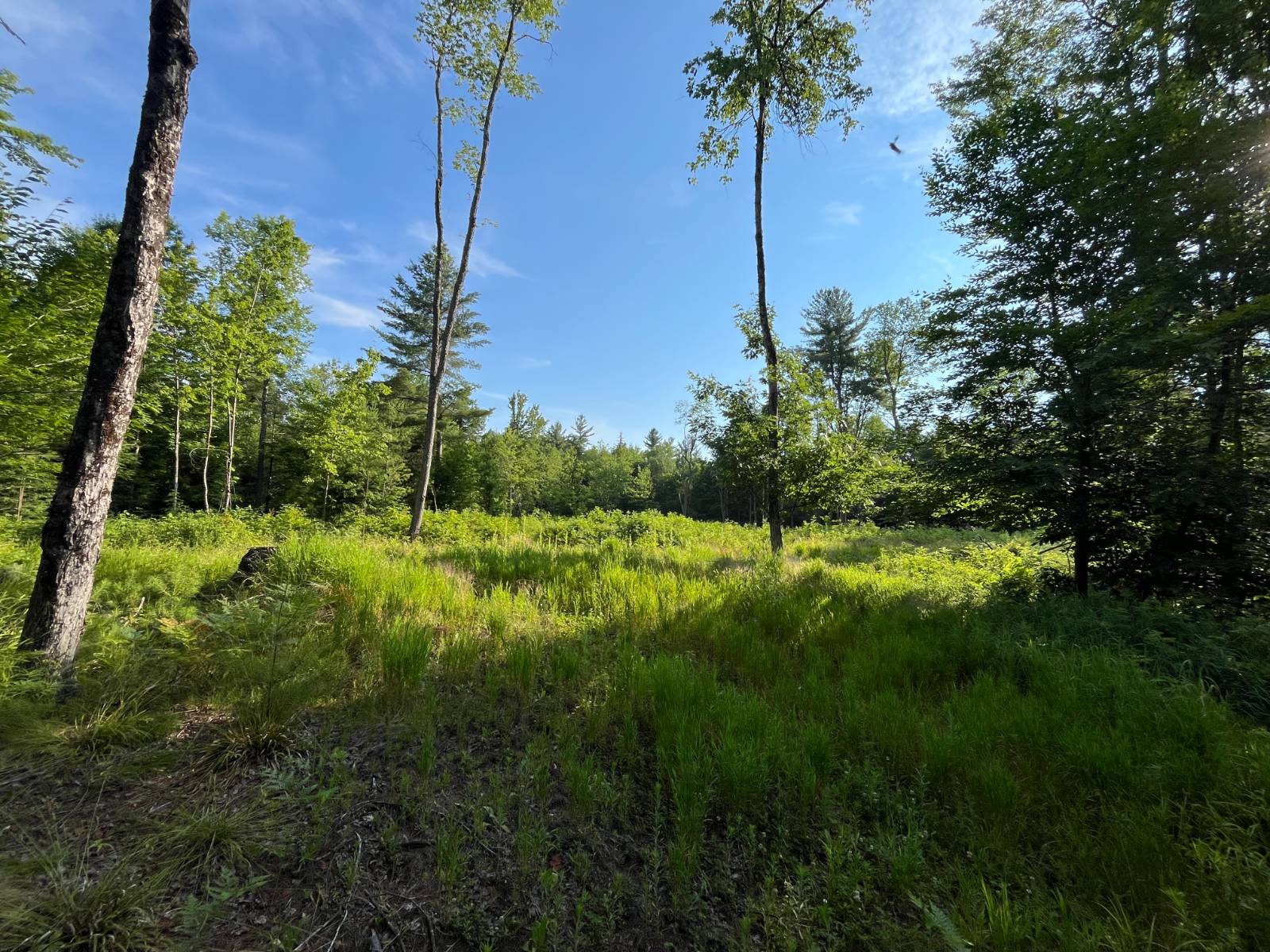 #39 photo, 00 White Pine Lane/pvt, Pitcairn , NY 13648