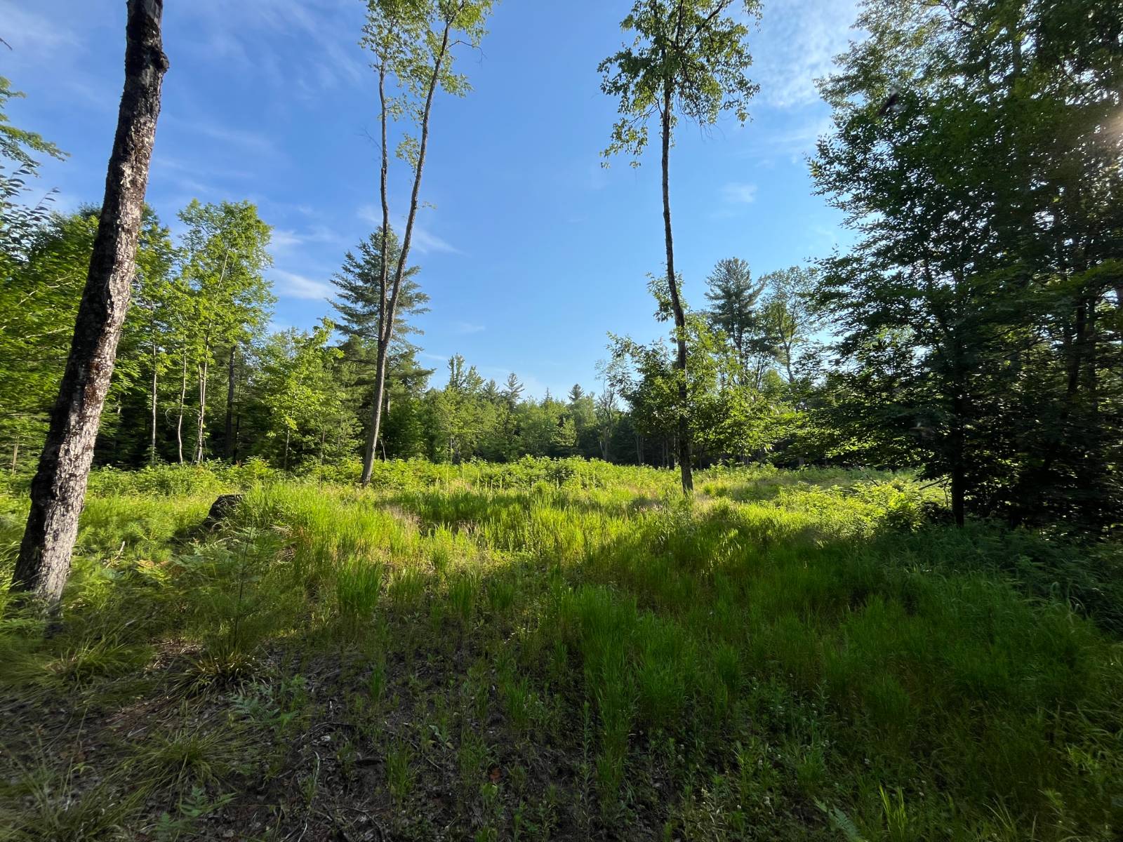 #40 photo, 00 White Pine Lane/pvt, Pitcairn , NY 13648