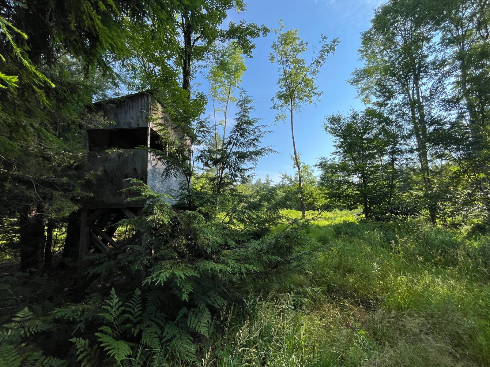 #41 photo, 00 White Pine Lane/pvt, Pitcairn , NY 13648