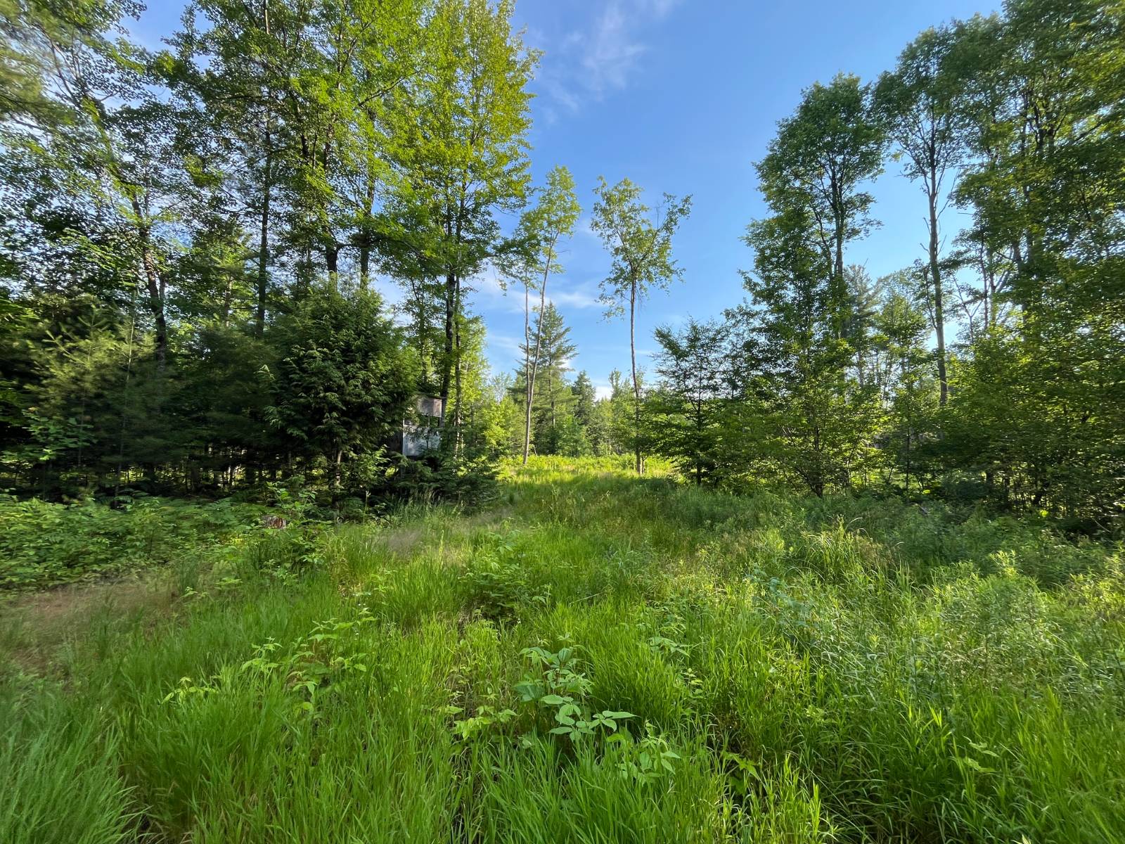 #42 photo, 00 White Pine Lane/pvt, Pitcairn , NY 13648