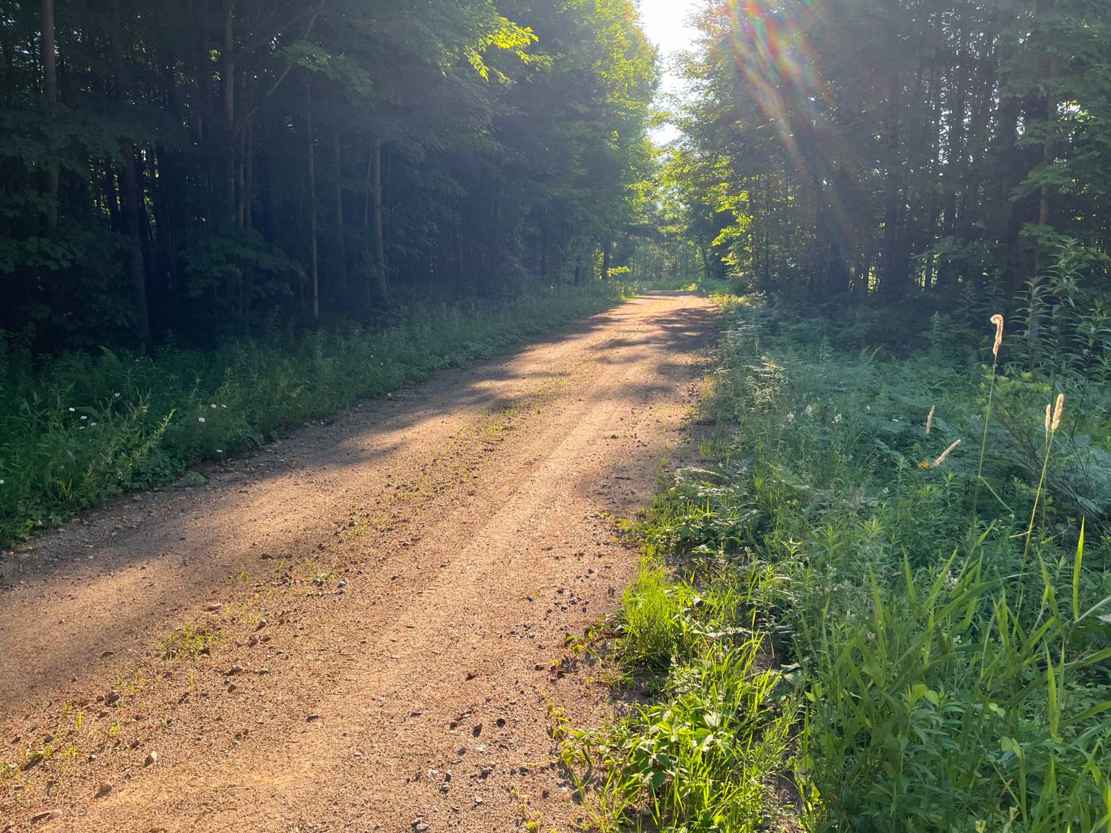 #44 photo, 00 White Pine Lane/pvt, Pitcairn , NY 13648