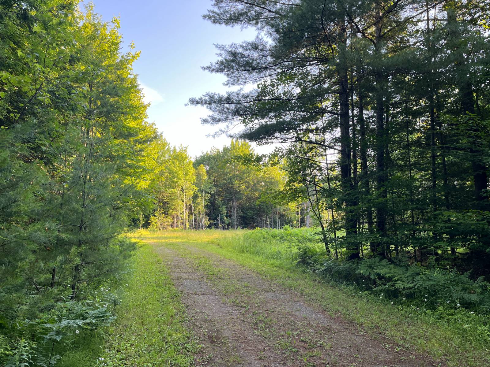 #45 photo, 00 White Pine Lane/pvt, Pitcairn , NY 13648