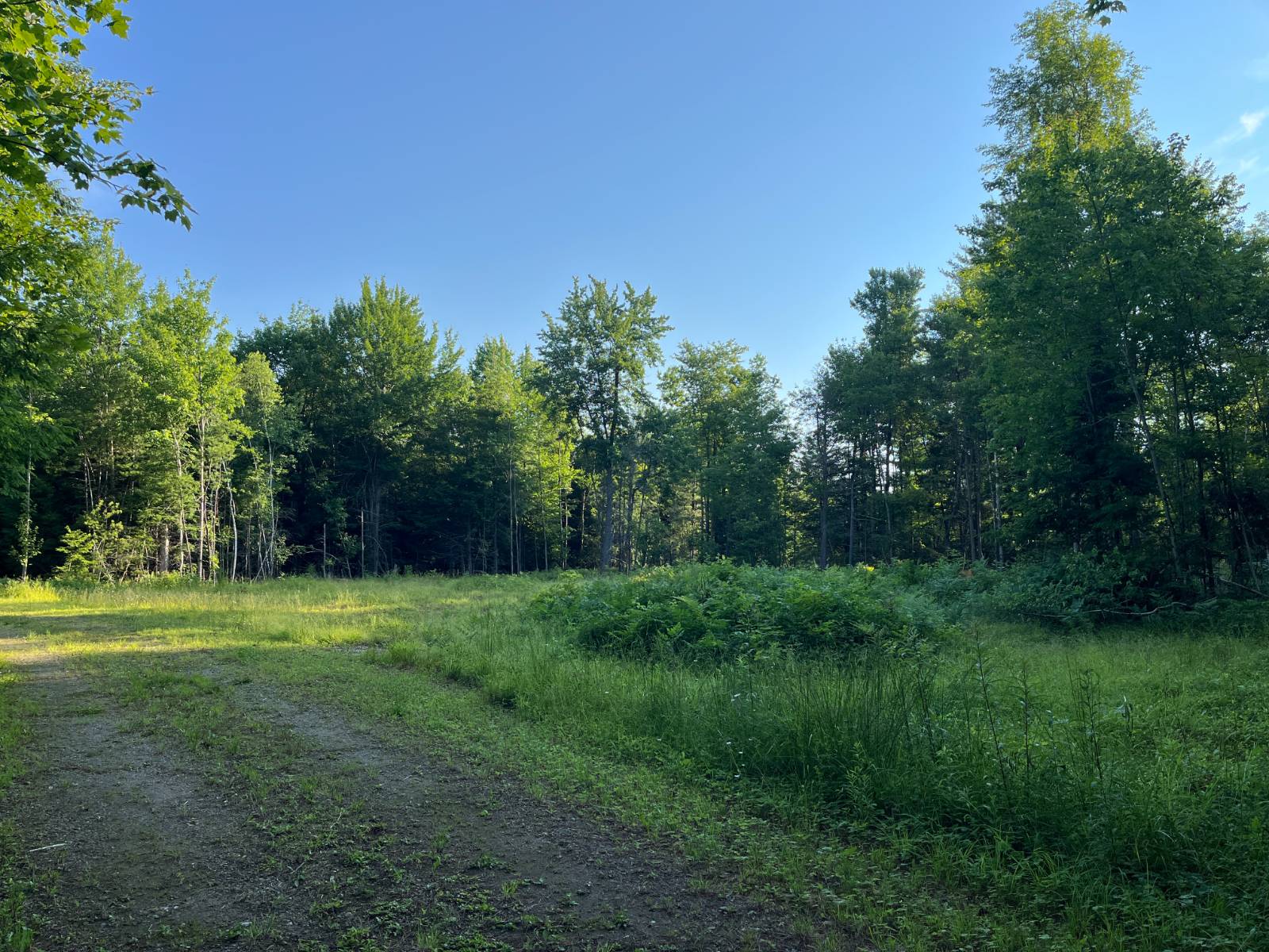 #46 photo, 00 White Pine Lane/pvt, Pitcairn , NY 13648