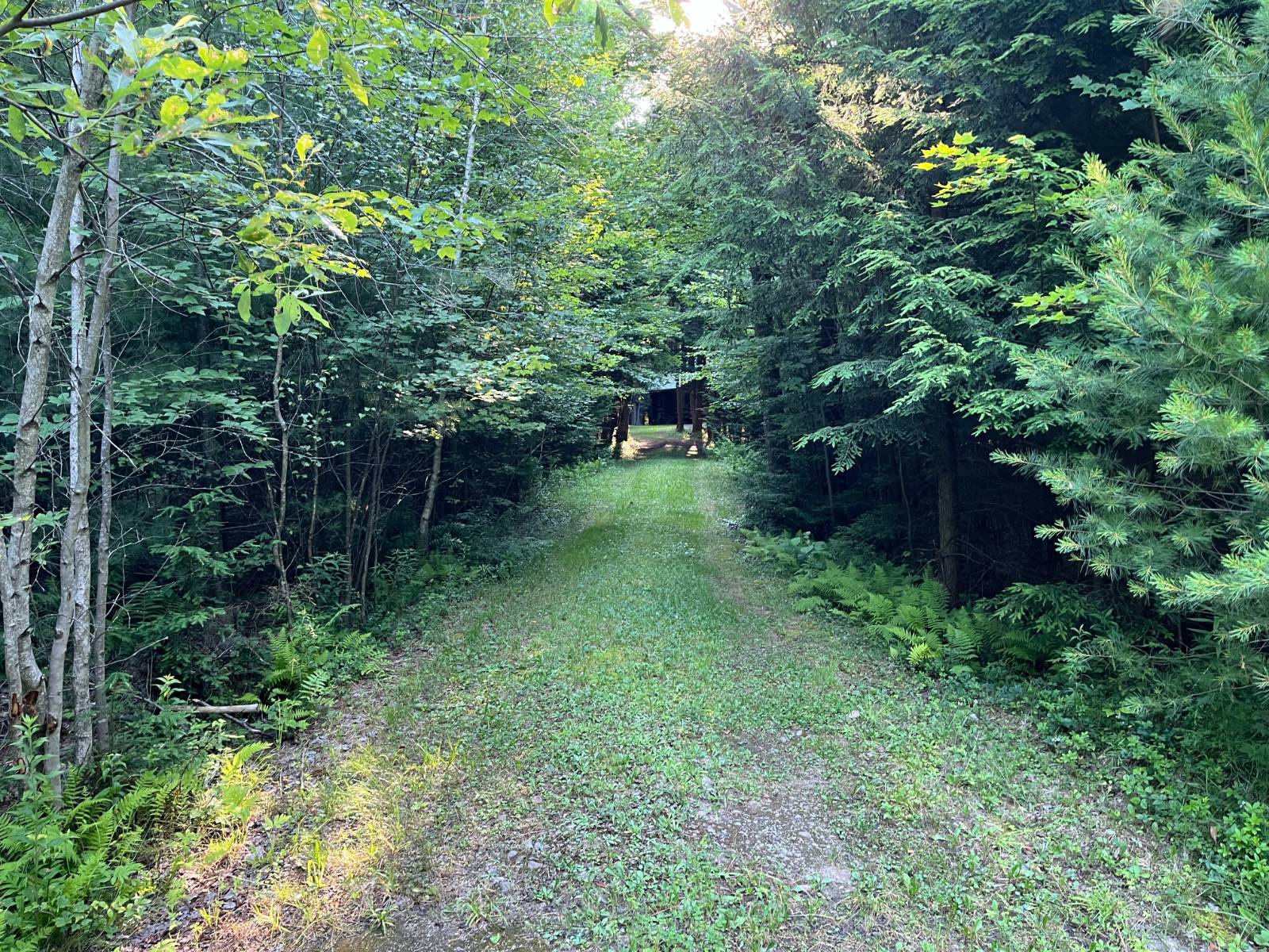 #48 photo, 00 White Pine Lane/pvt, Pitcairn , NY 13648