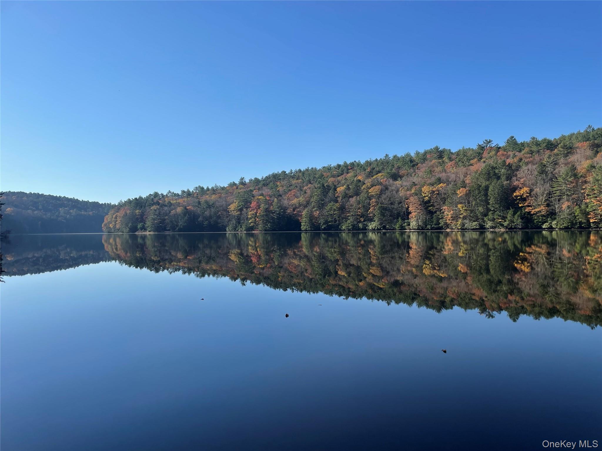 #1 photo, Plank Road, Forestburgh , NY 12777