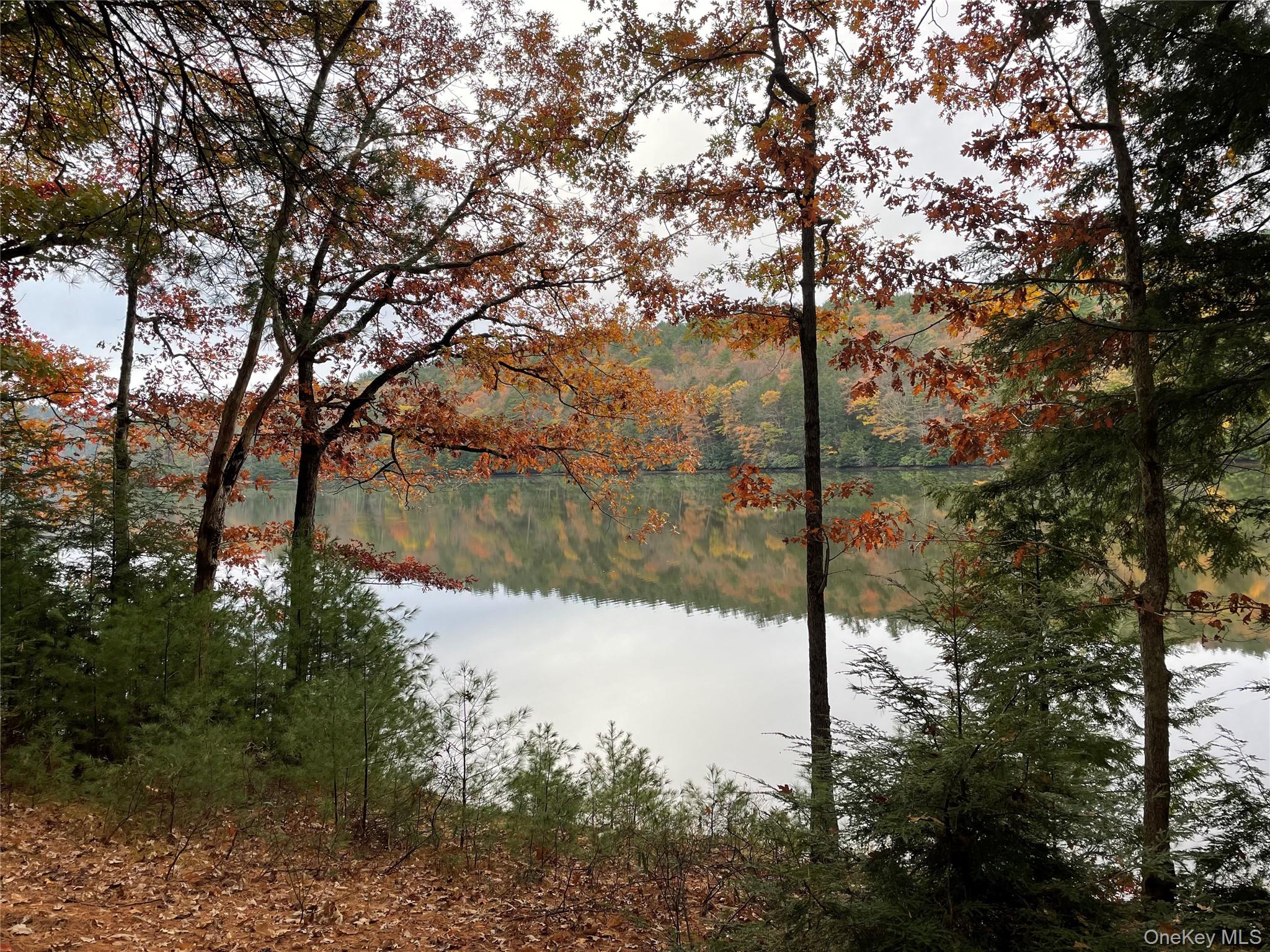 #2 photo, Plank Road, Forestburgh , NY 12777