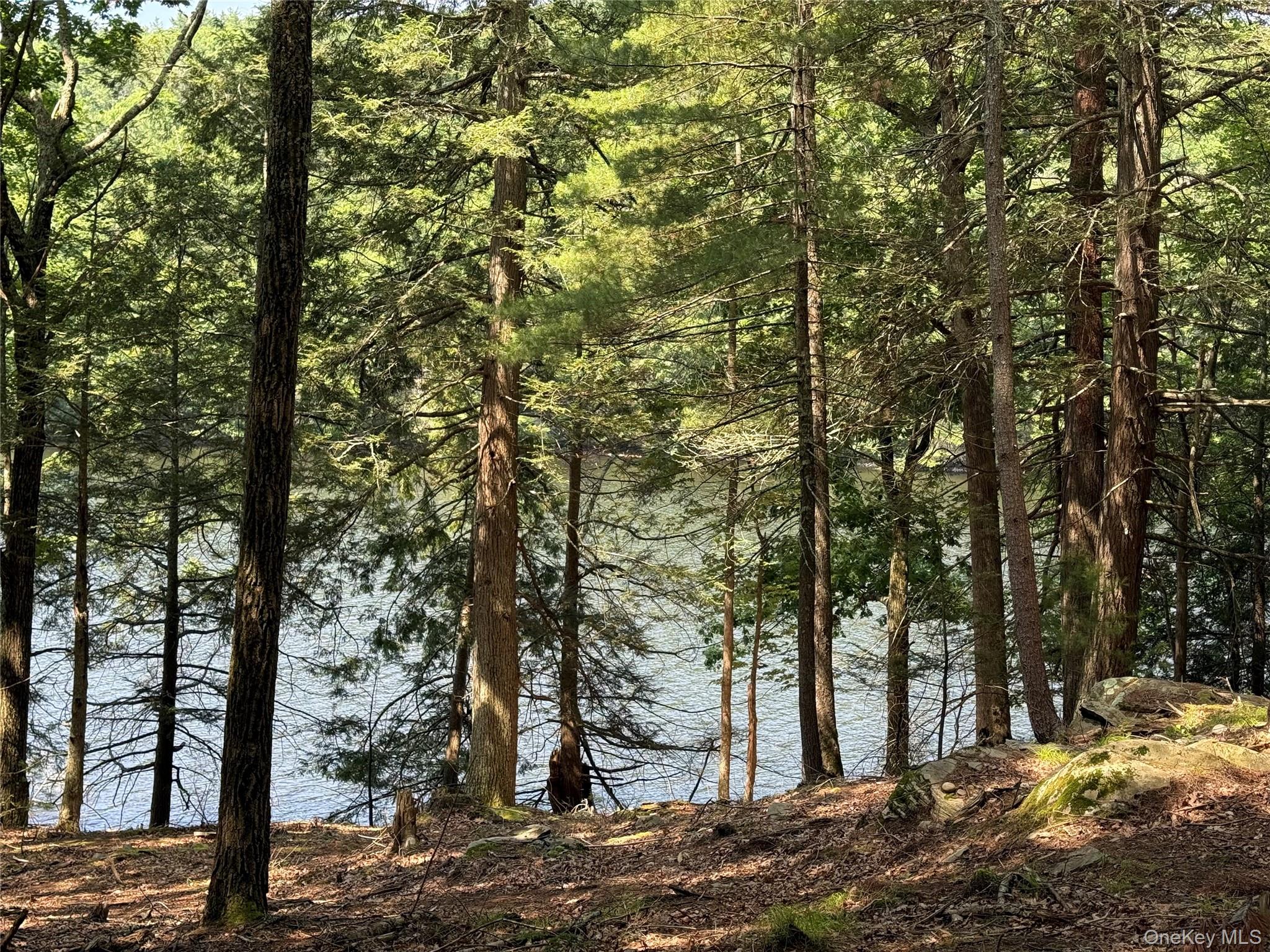 #5 photo, Plank Road, Forestburgh , NY 12777