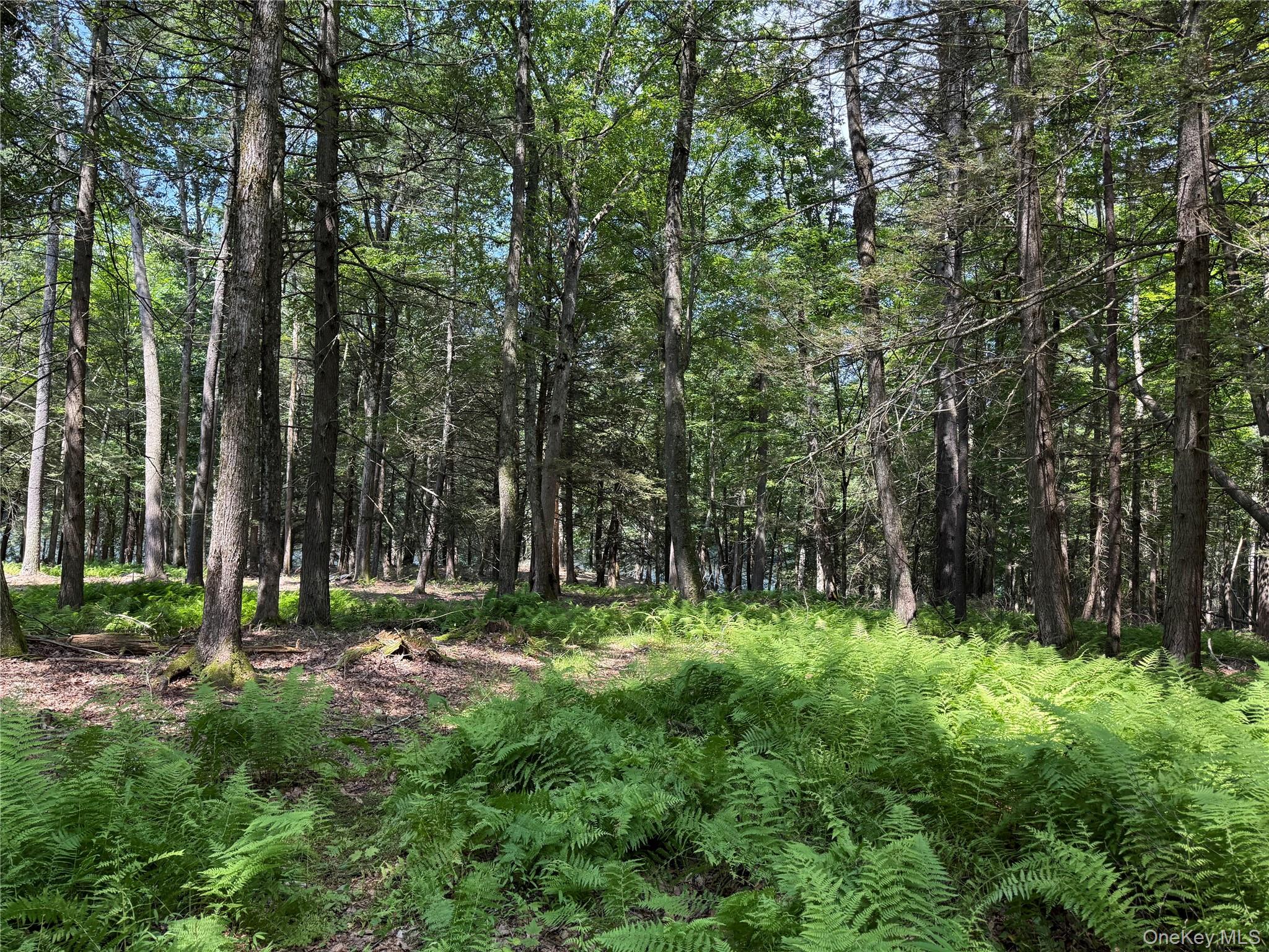 #8 photo, Plank Road, Forestburgh , NY 12777